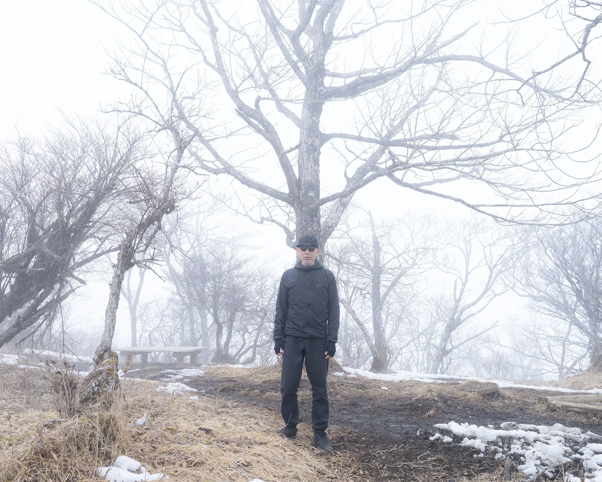 檜洞丸山頂のブナの巨木を背に立つハイカー。残雪と深い霧に包まれた早春の西丹沢・登山記録。
