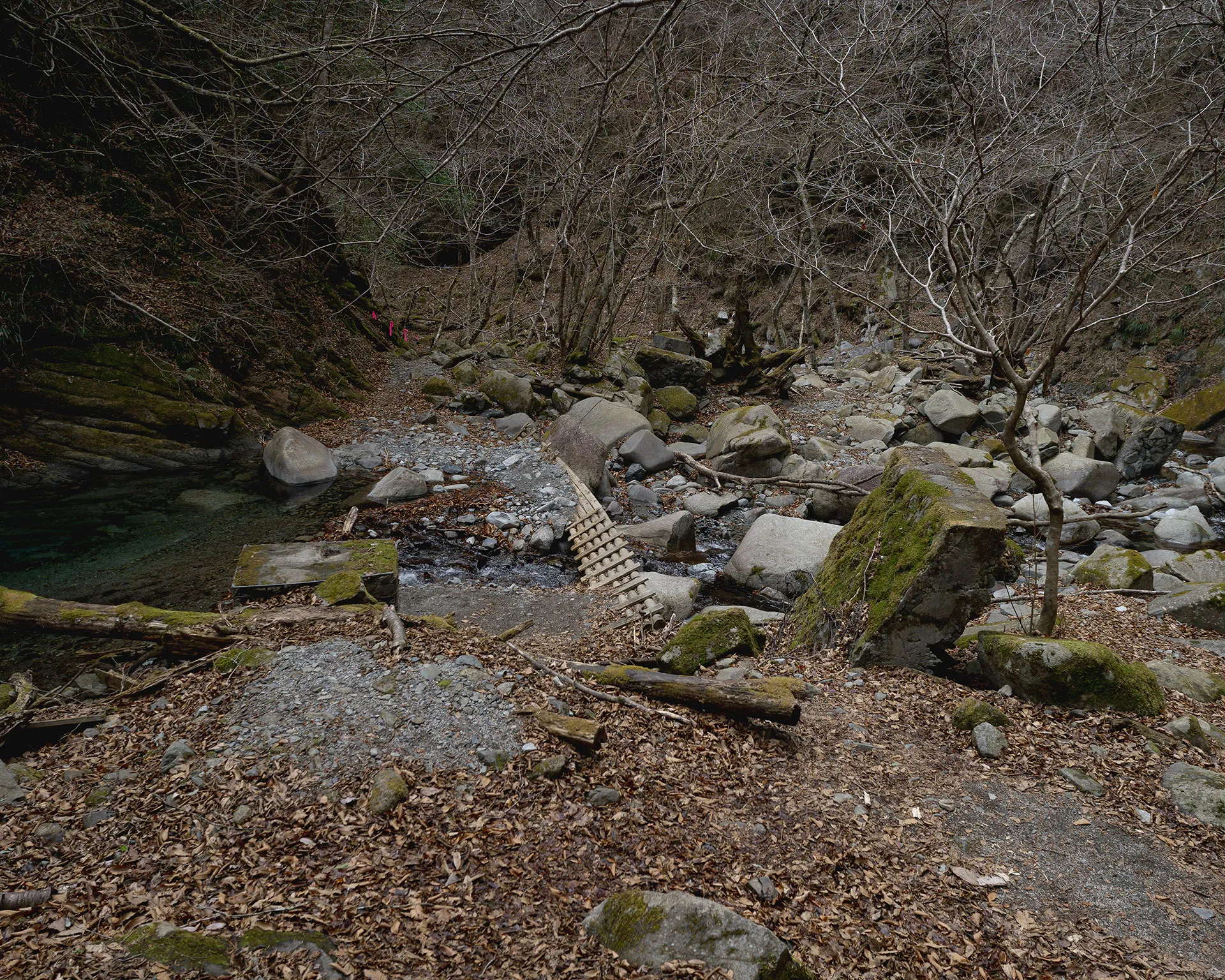 西丹沢の沢沿いにある登山道と、岩場にかけられた簡易的なハシゴ。渡渉点付近のダイナミックな渓相。