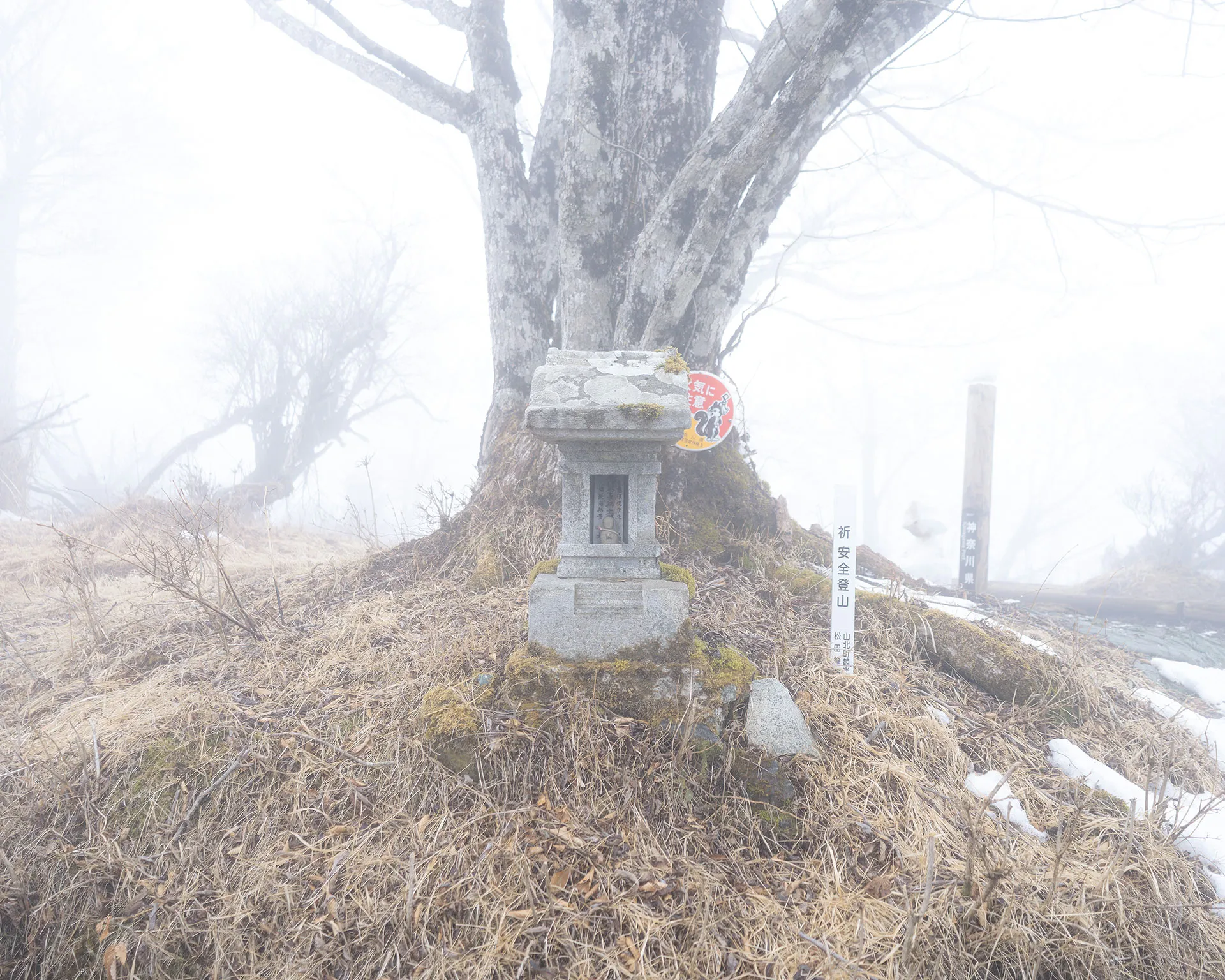 檜洞丸の山頂付近に鎮座する石祠(祠)と大きなブナの木。登山の安全を祈願するスポットと深い霧の風景。