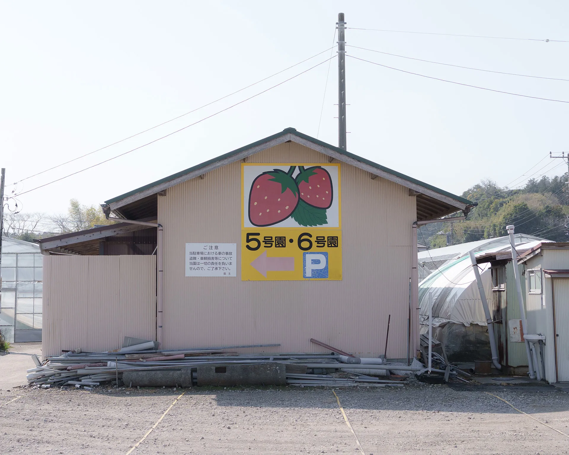 館山いちご狩りセンター