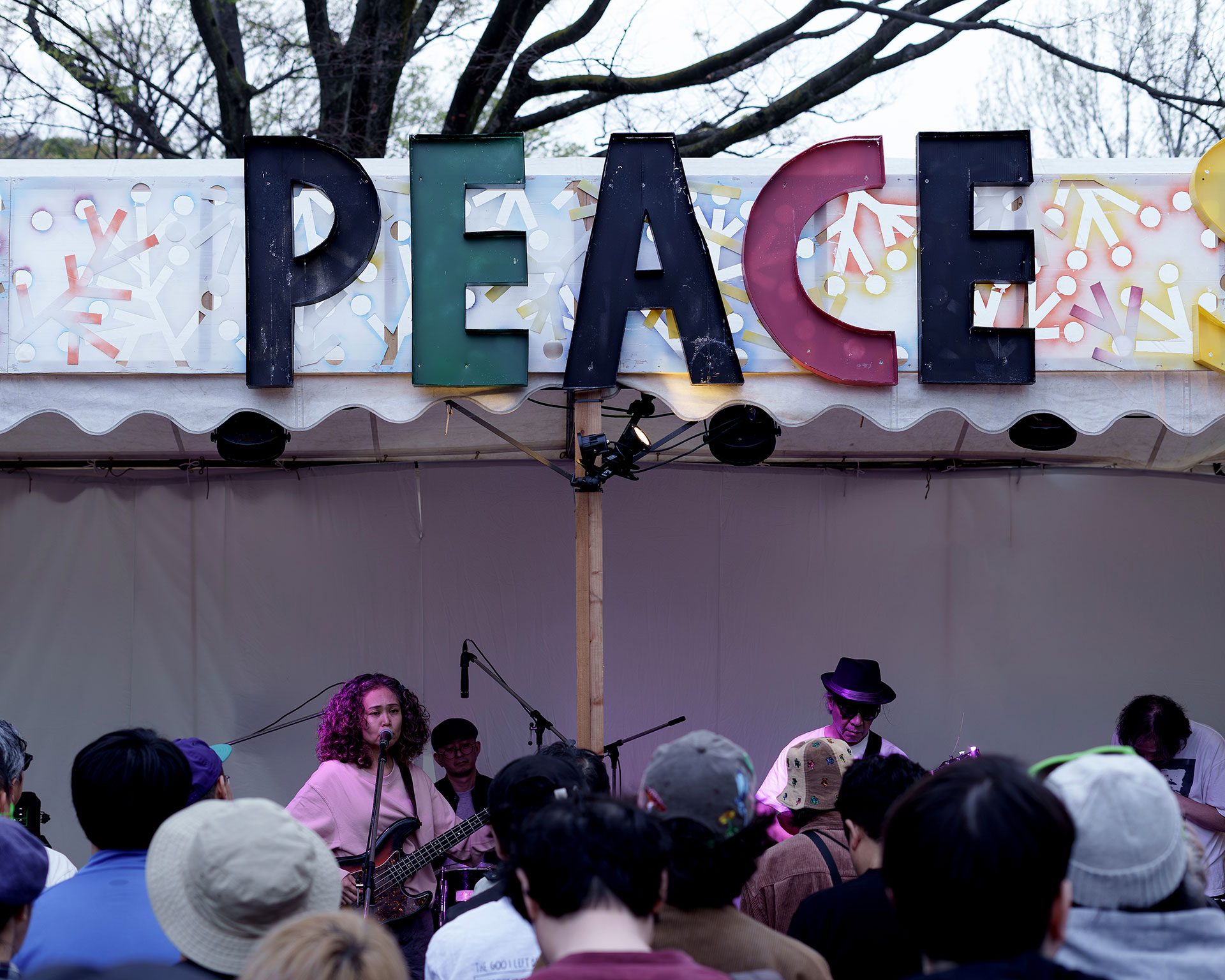 sugar plant@SPRING LOVE 春風 2026