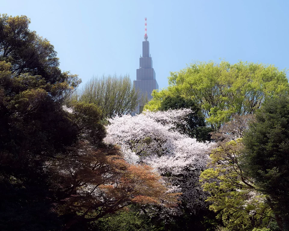 「Afterhours」ウェブサイトをリニューアル