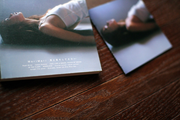 耳と目そしてエコー