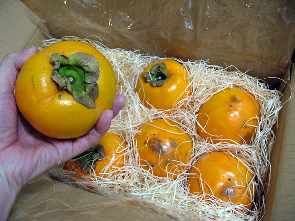 百匁柿（ひゃくめがき）