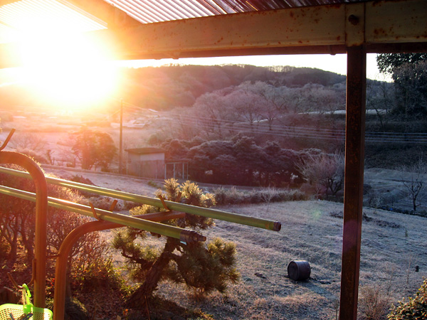 丘の上で犬と暮らしてる