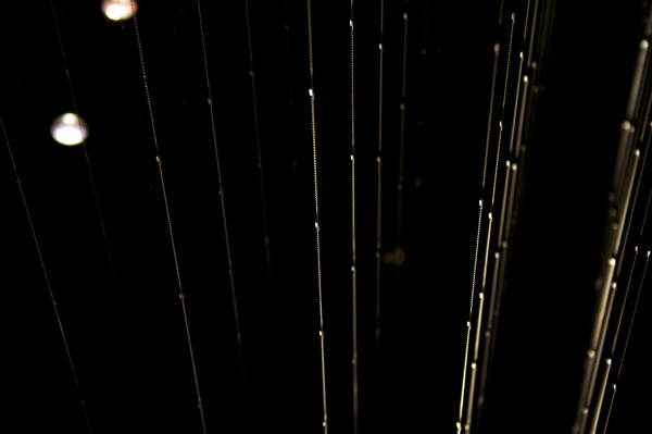 杉本貴志・水の茶室