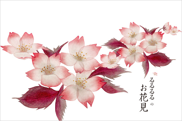 「るるるるのお花見」