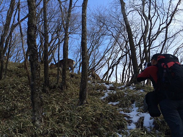 塔ノ岳〜丹沢山