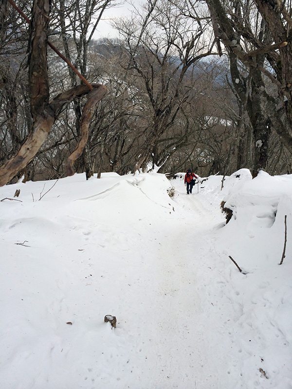 塔ノ岳〜丹沢山