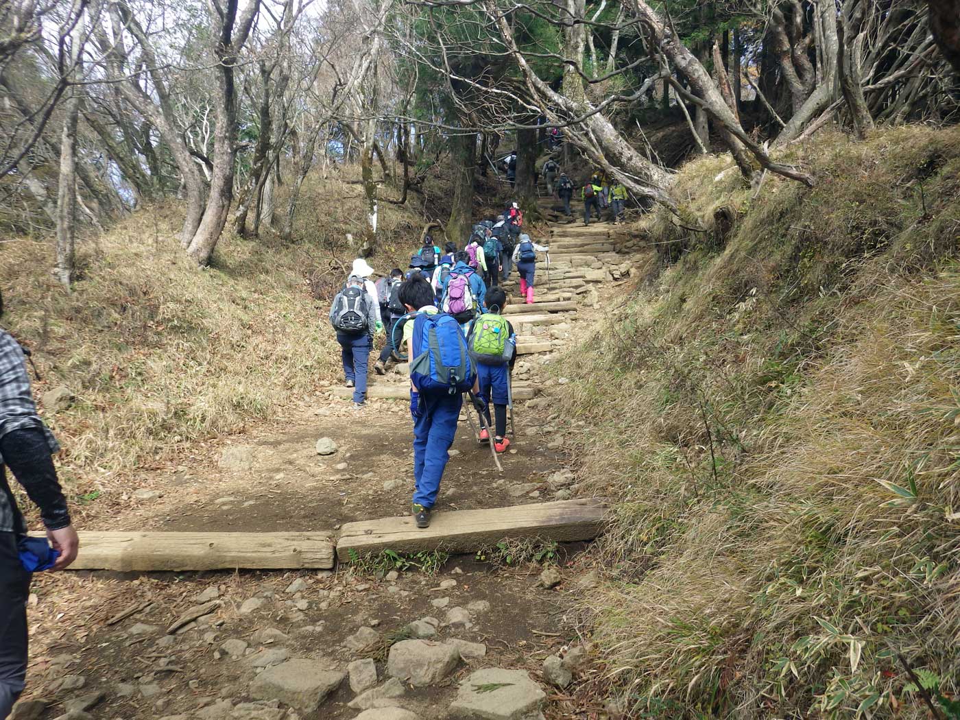 パパハイキング　大山