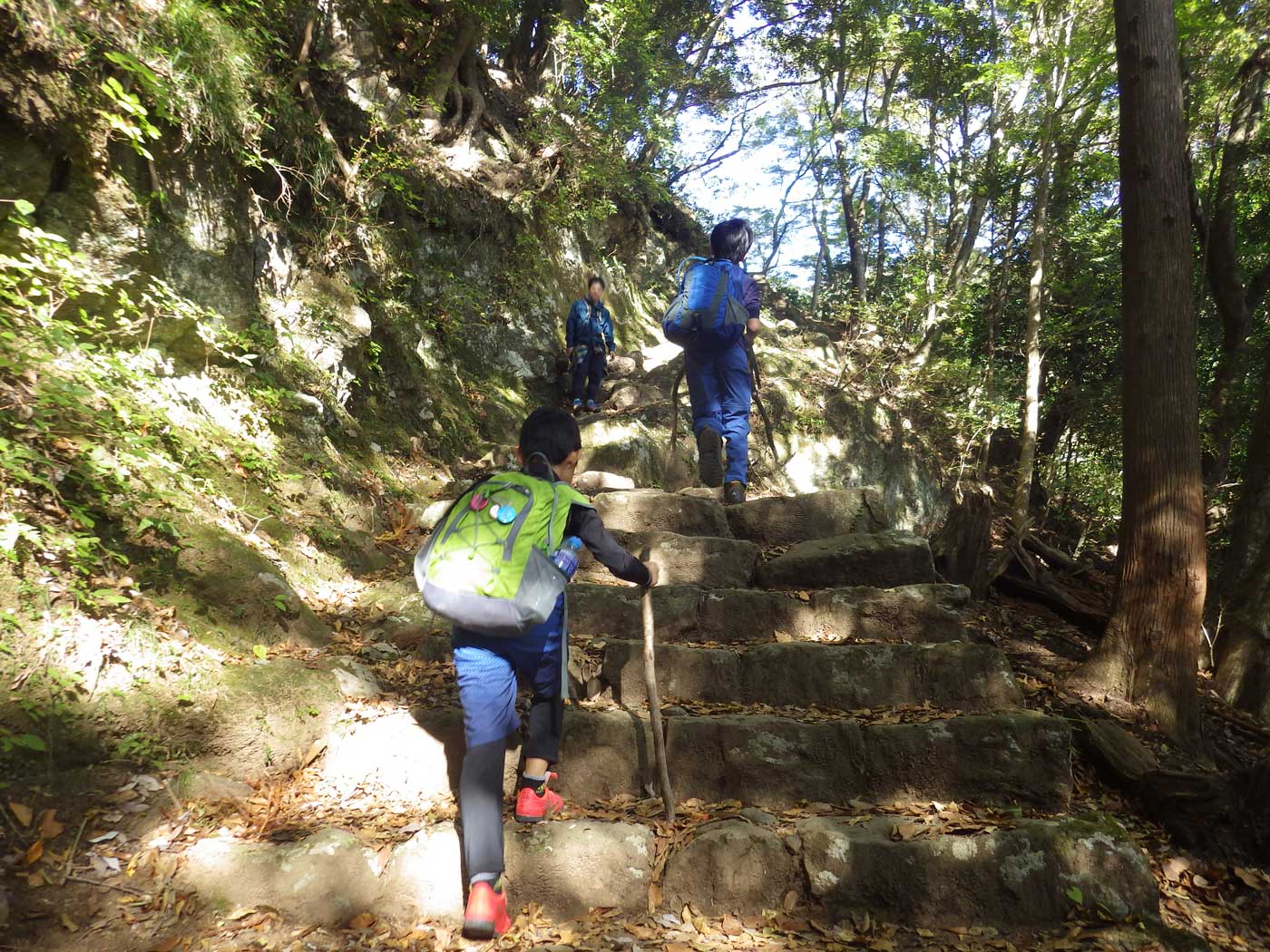 パパハイキング　大山
