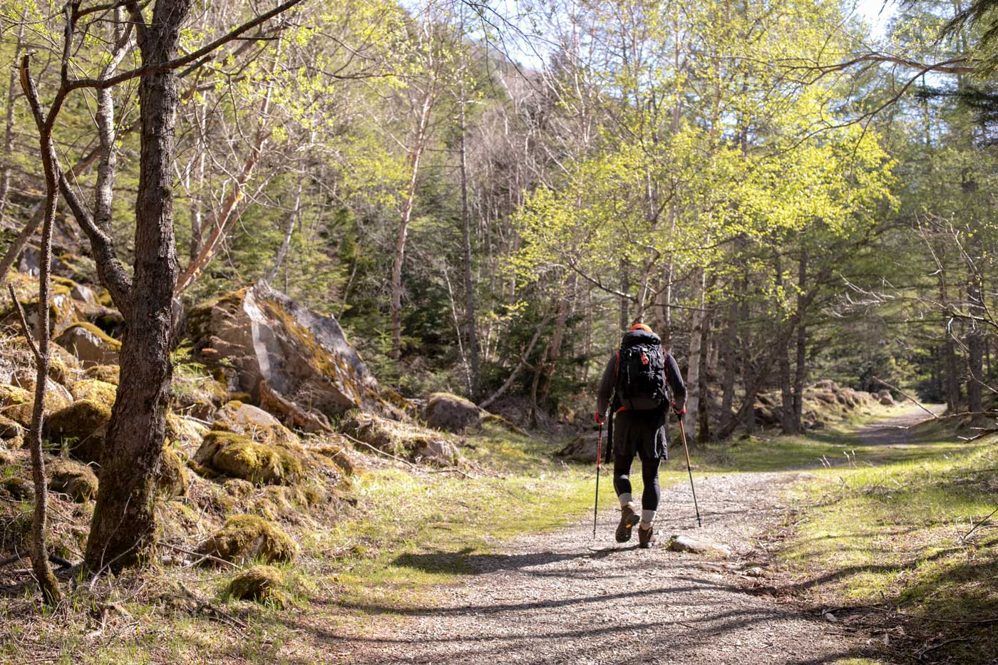 天狗岳（唐沢鉱泉から東、西へ周回）