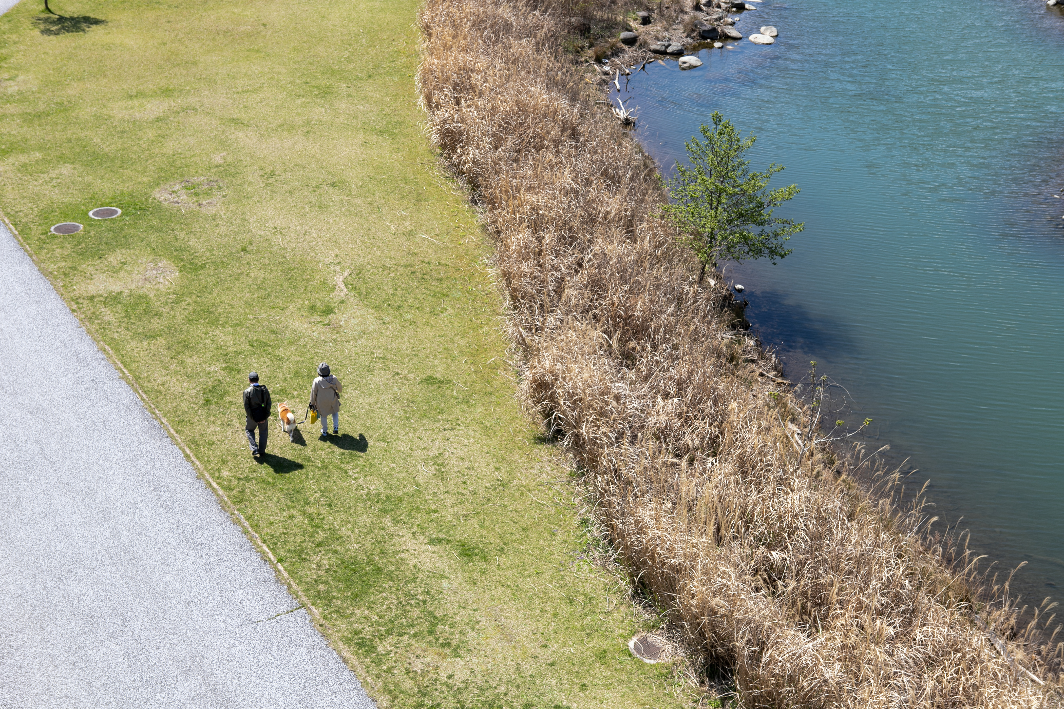 宮ヶ瀬湖畔園地