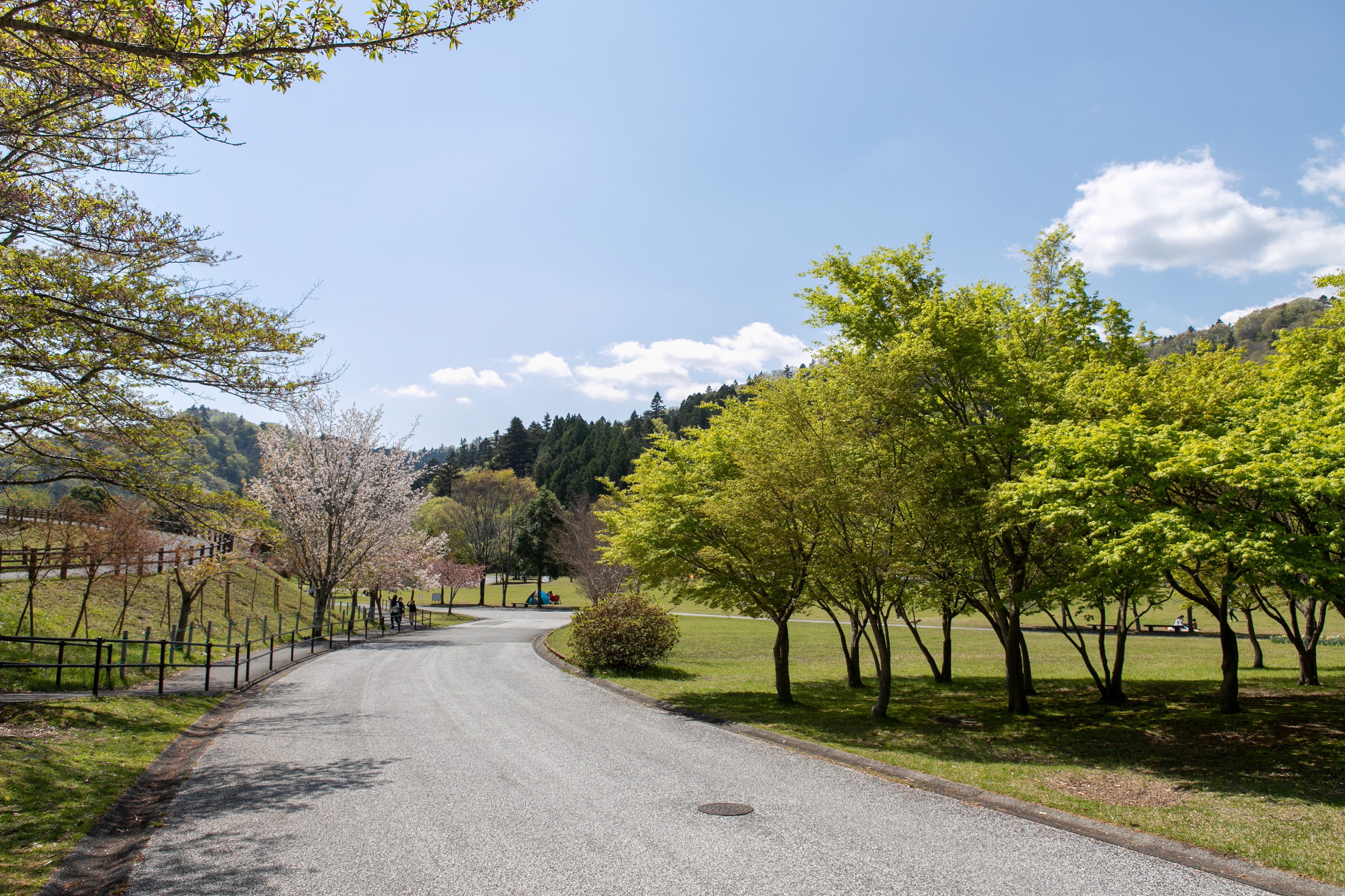 宮ヶ瀬湖畔園地