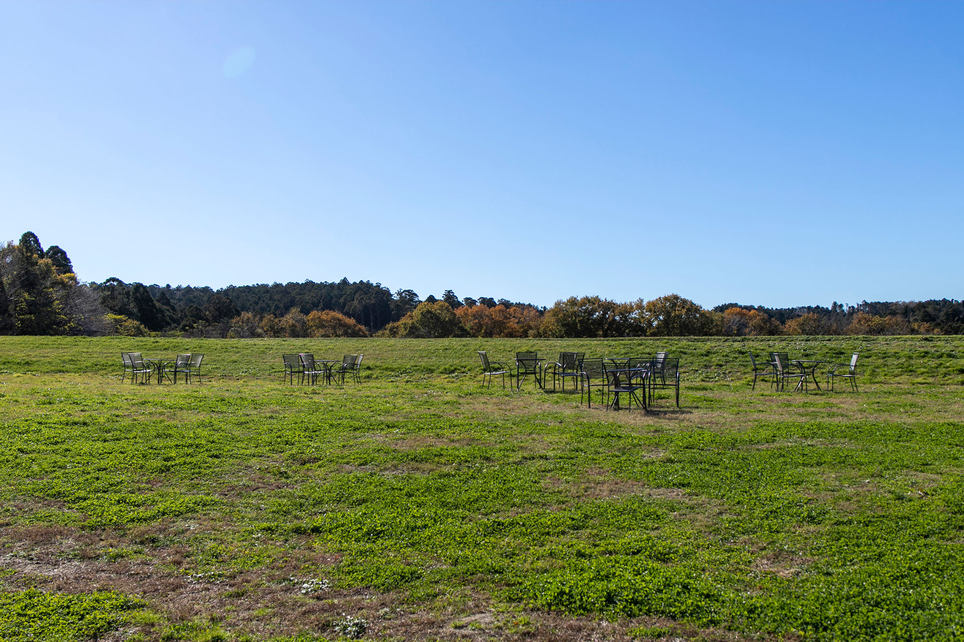 クルックフィールズ