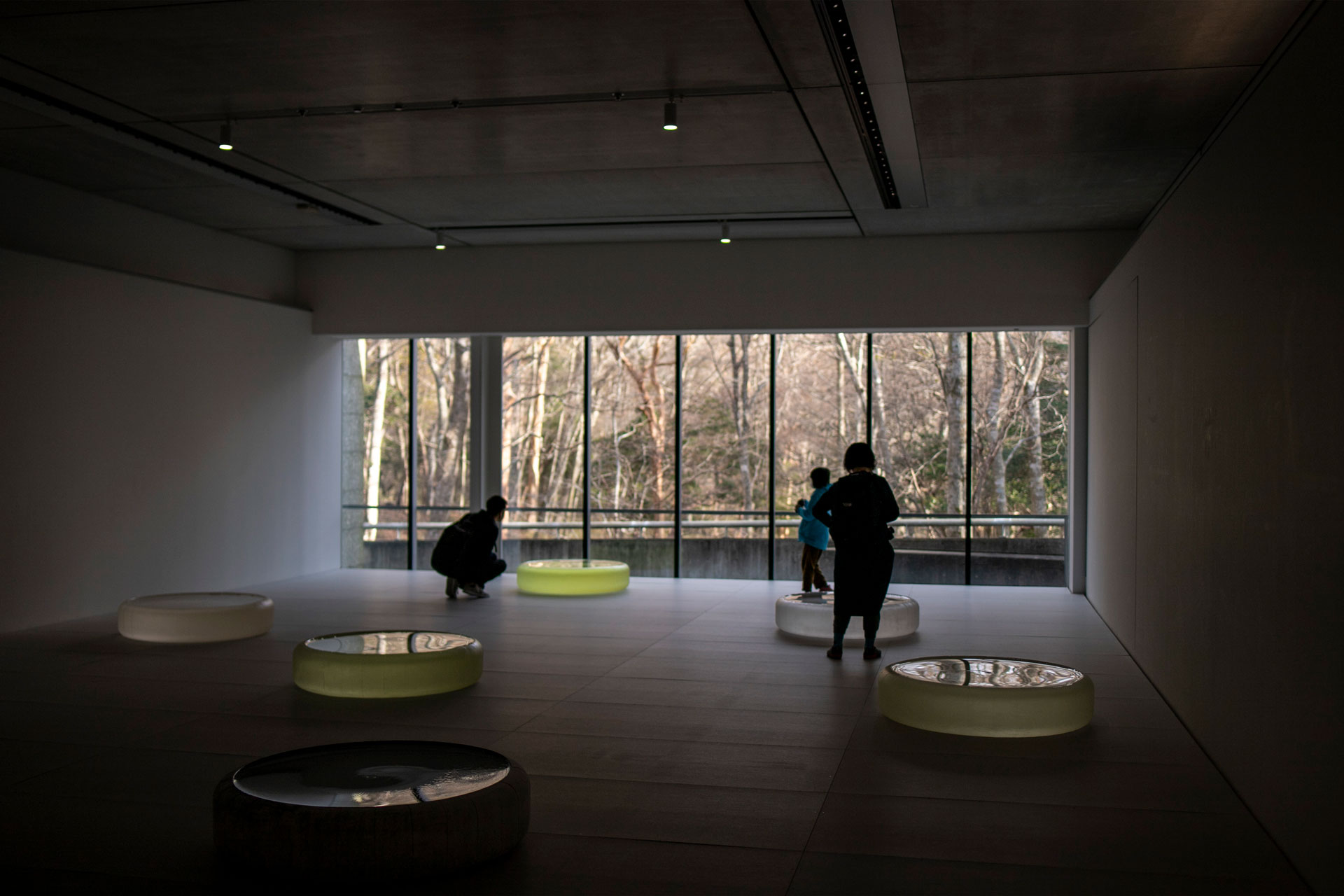 「ロニ・ホーン」展