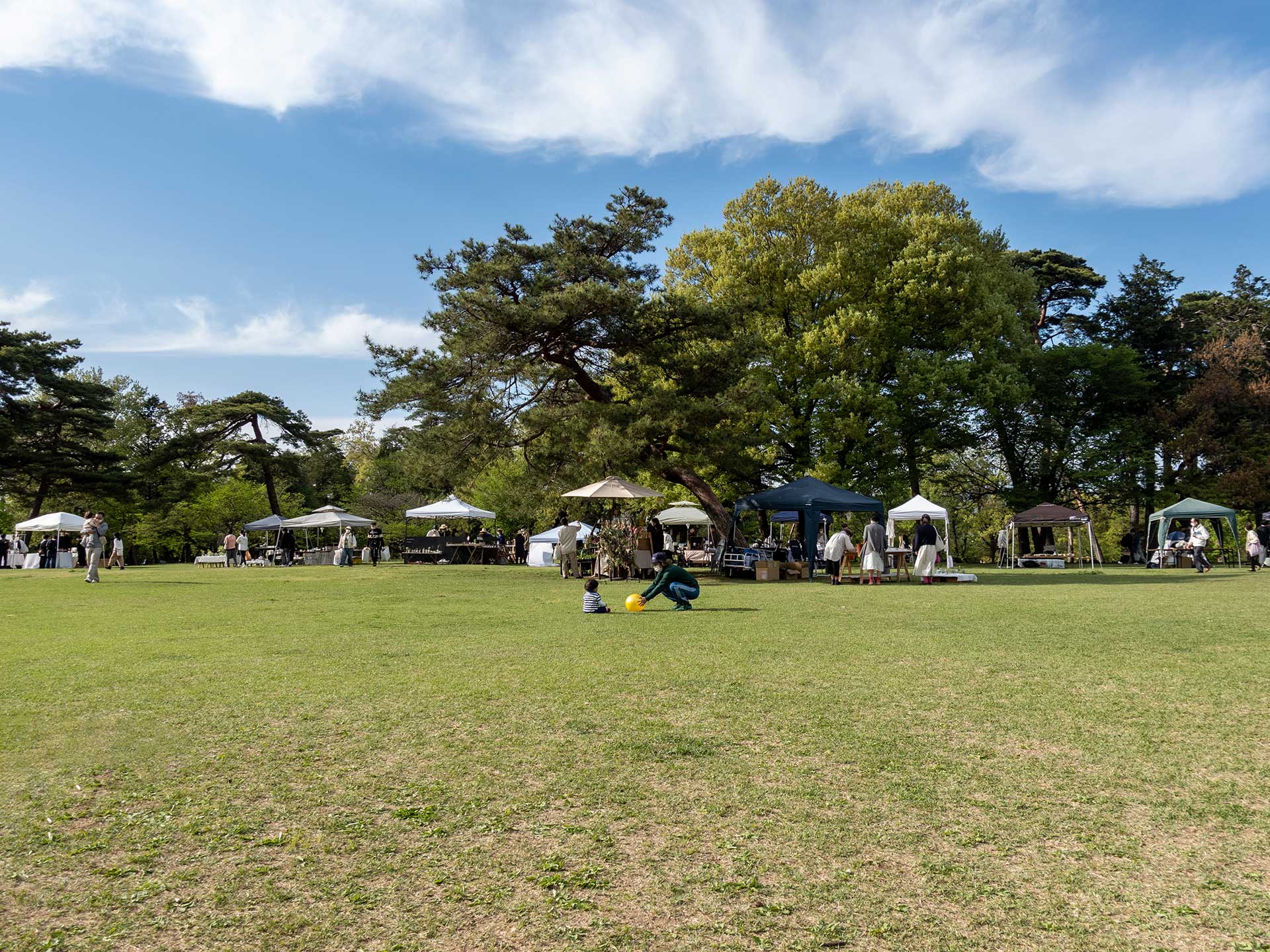 みどりのクラフト