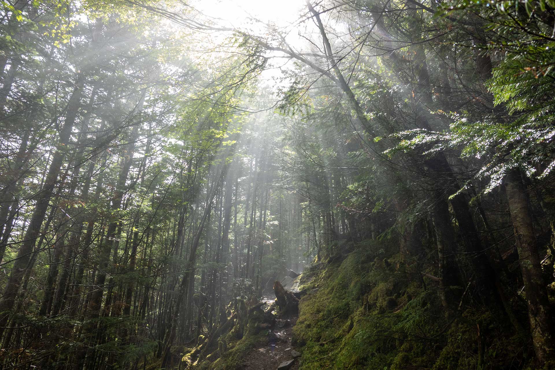 東天狗岳、西天狗岳