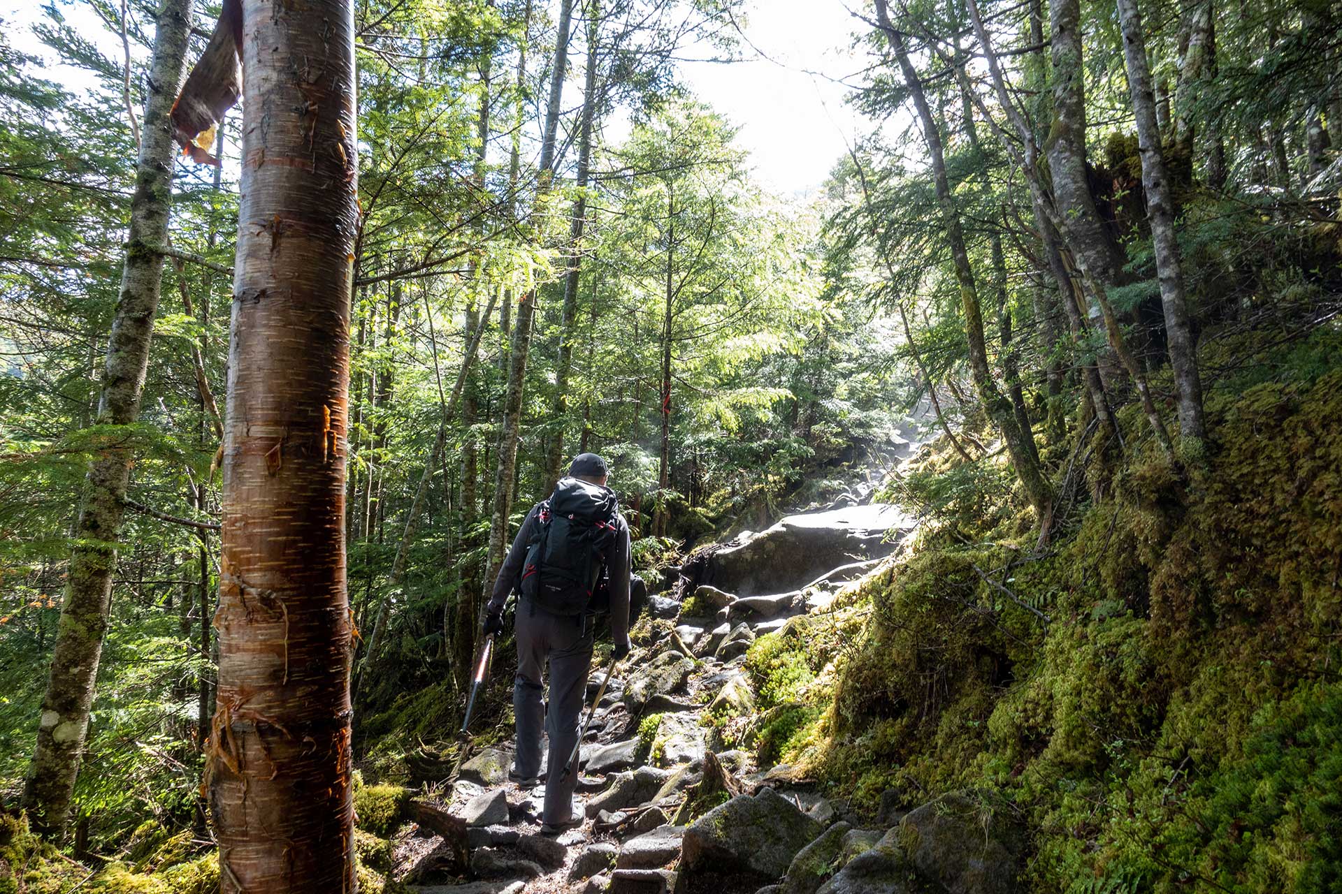 東天狗岳、西天狗岳