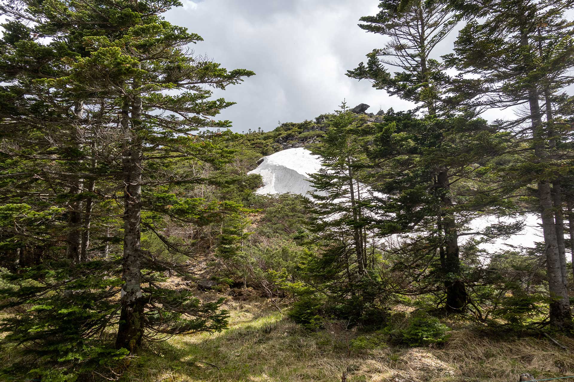 黒百合ヒュッテ