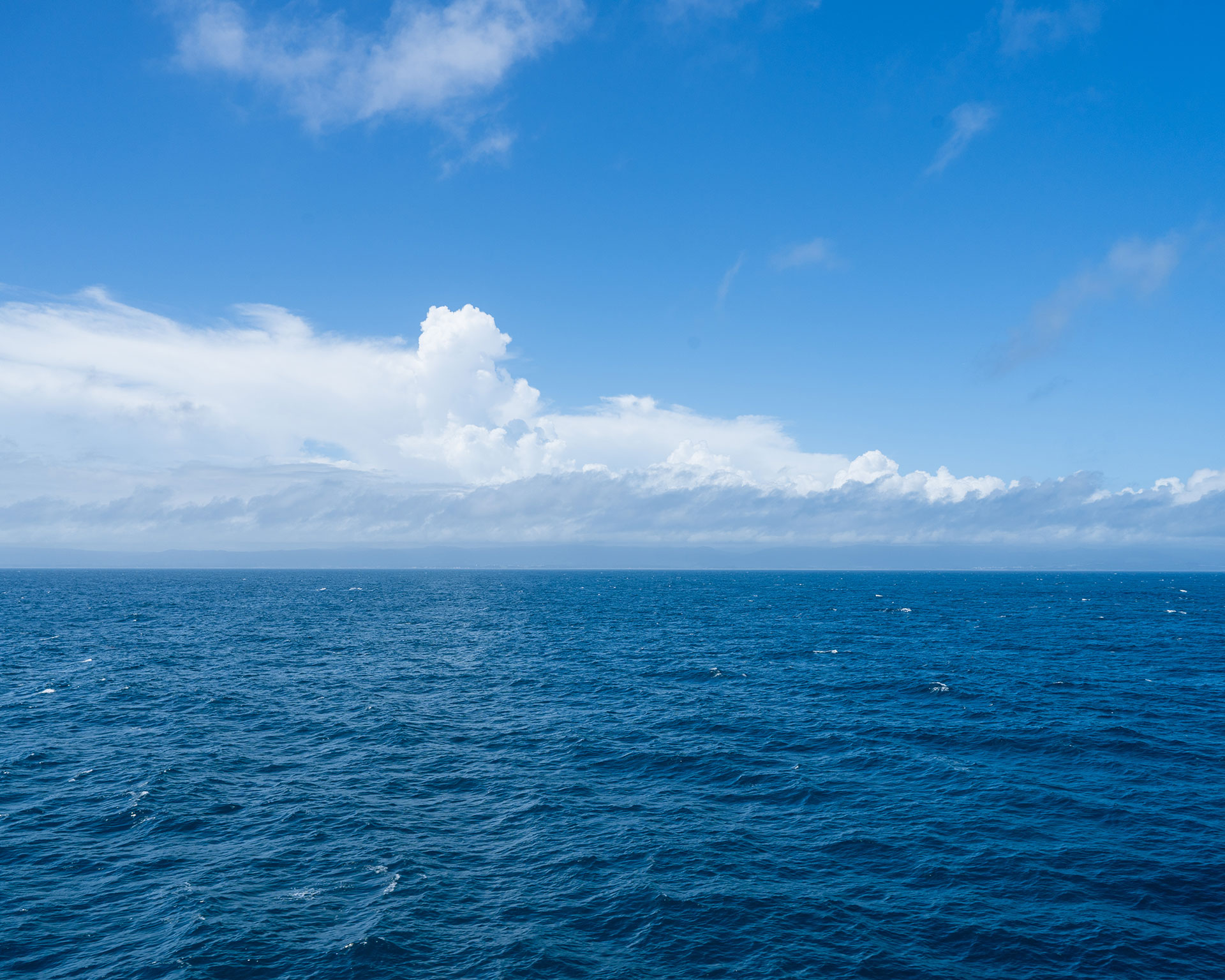 苫小牧港　さんふらわあ