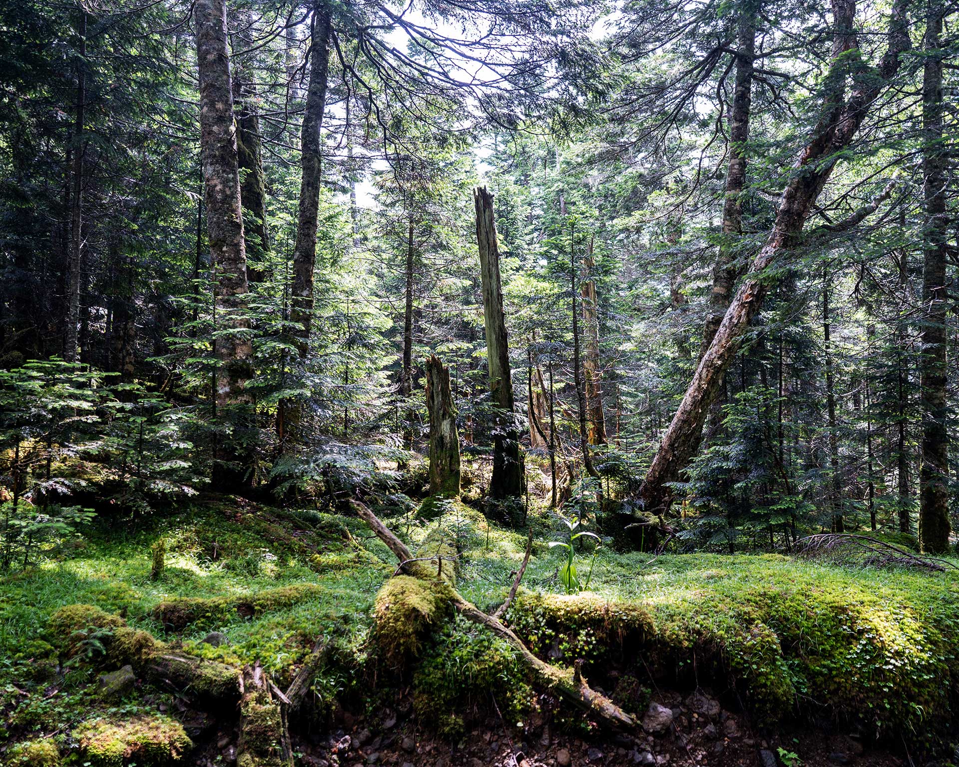 雷、撤退、硫黄岳