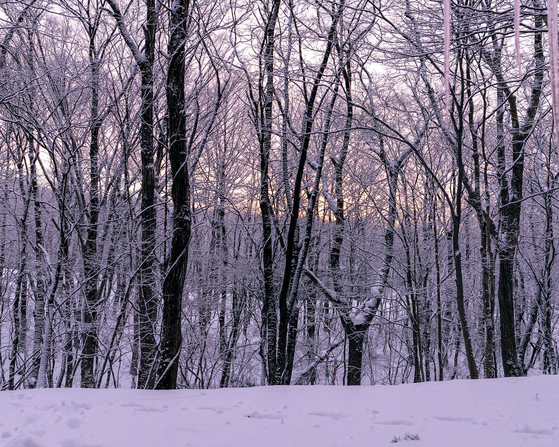 無印良品陽の家 NASU 02