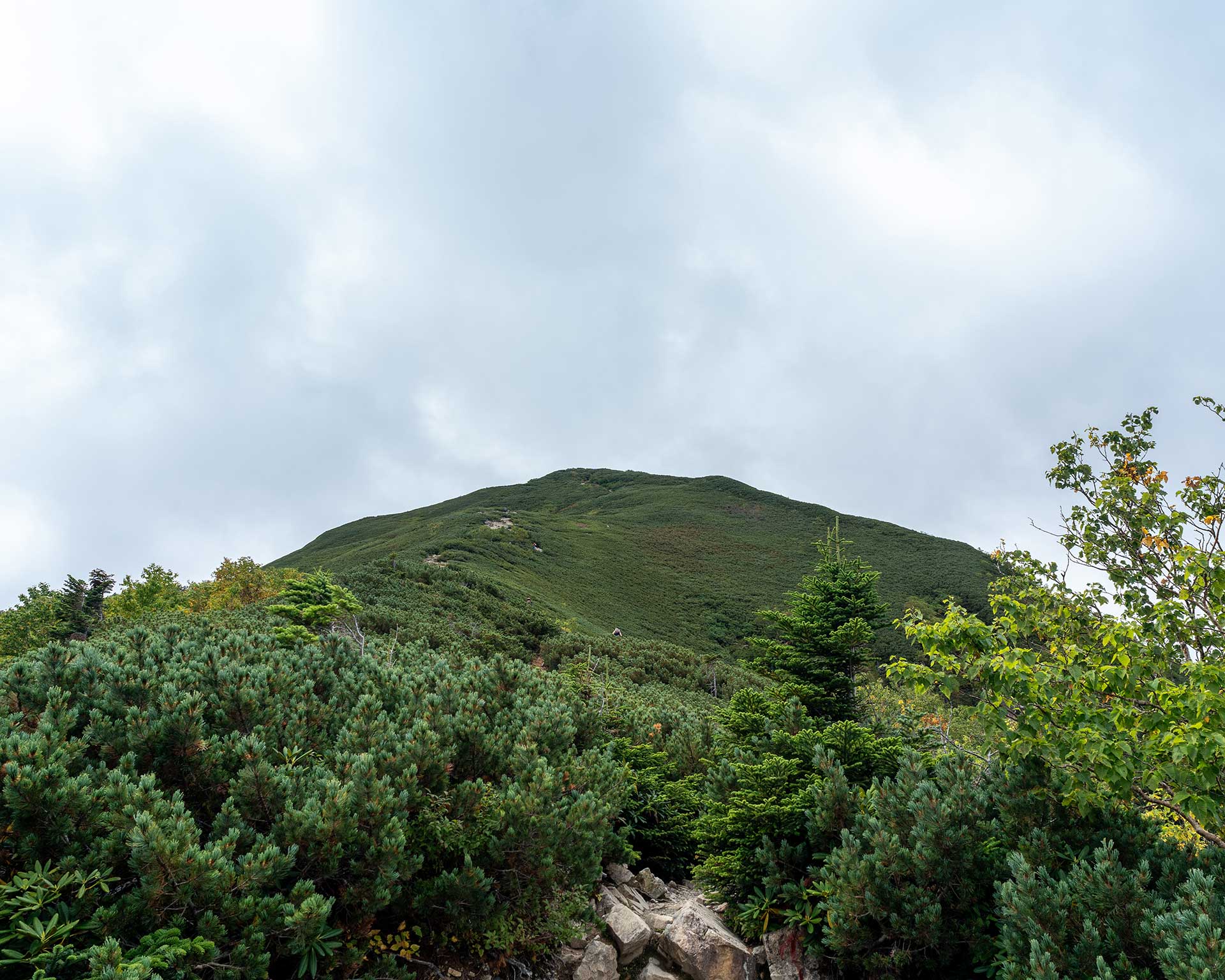 タイムアップで小仙丈ヶ岳でUターン／北沢峠から仙丈ヶ岳
