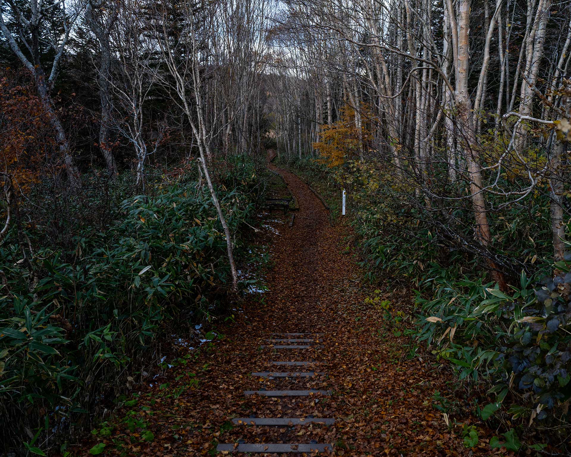 燧ヶ岳 御池登山口