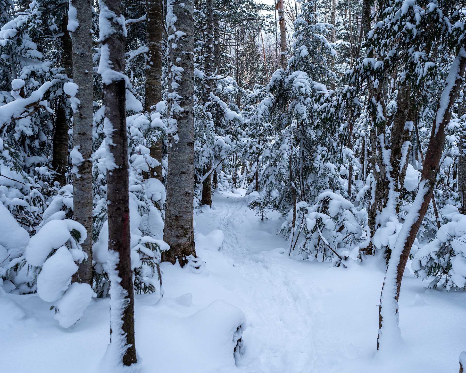 日光白根山　弥陀ヶ池