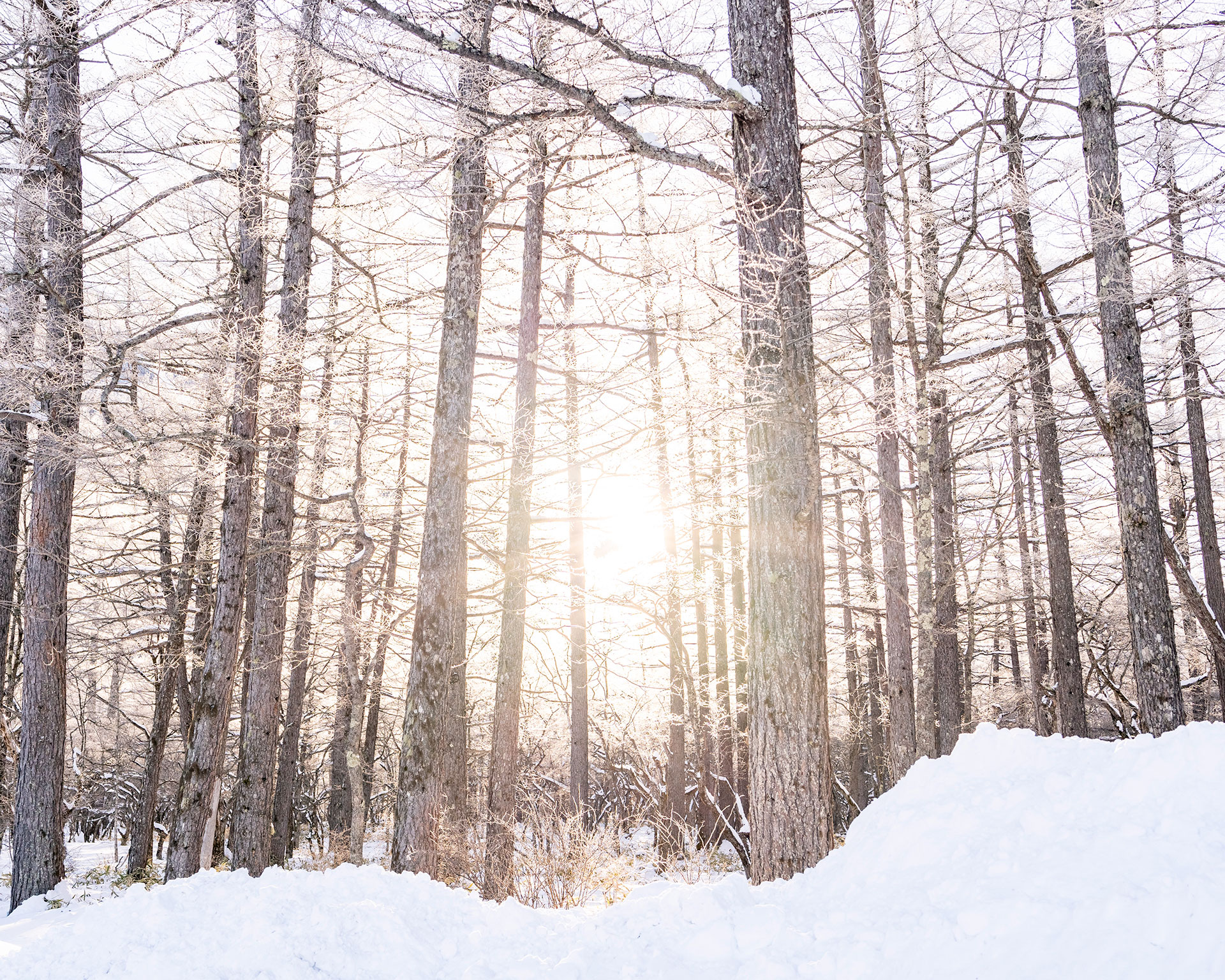 日光・庵滝の氷瀑へスノーハイク