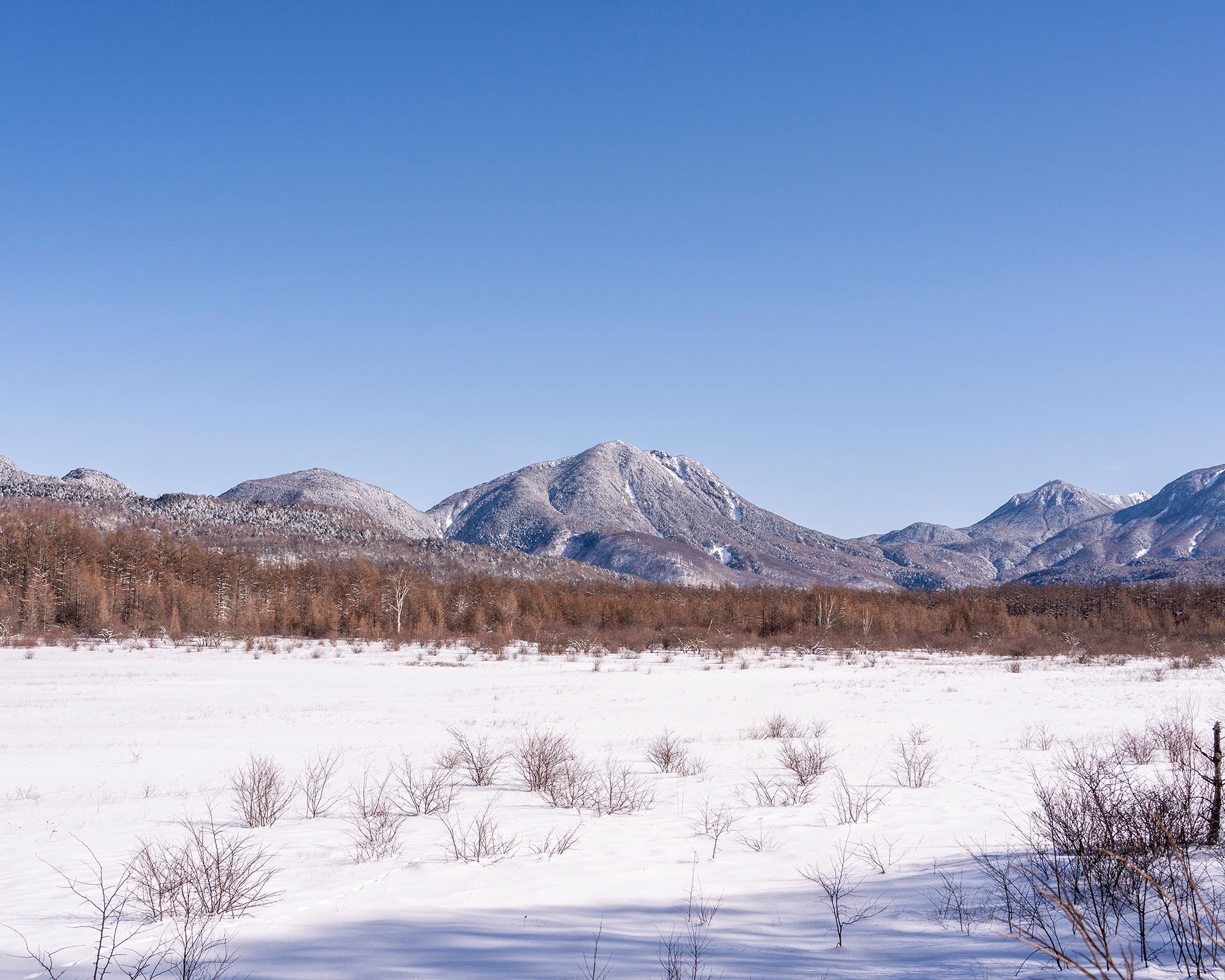 戦場ヶ原からの眺望、冬の湿原と雪をかぶった連山、澄んだ青空と白銀の大パノラマ風景