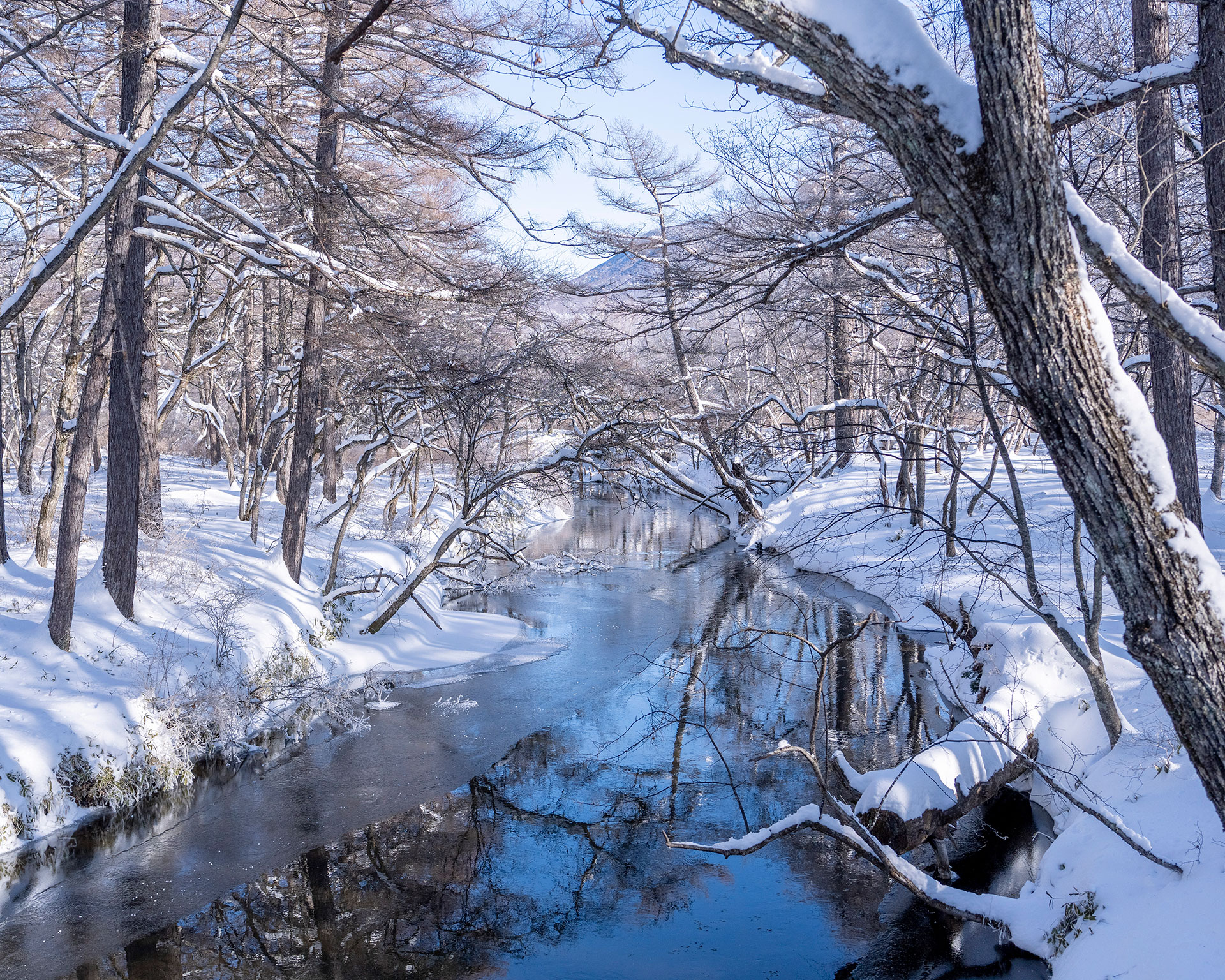 戦場ヶ原の雪に覆われた小川、透明度の高い流れと雪景色のコントラスト、日光国立公園スノーハイク