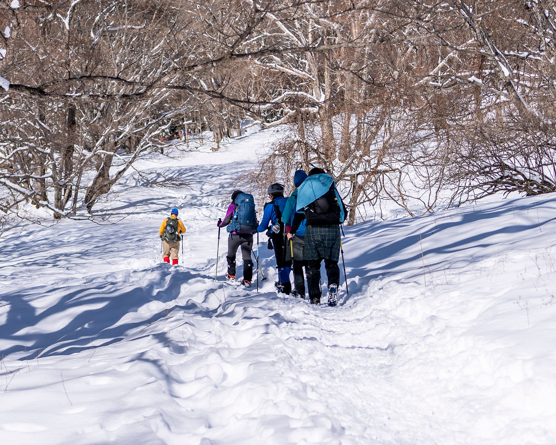 日光・庵滝へ向かうスノーシューハイカーグループ、新雪の登山道で静寂な冬のトレッキング風景