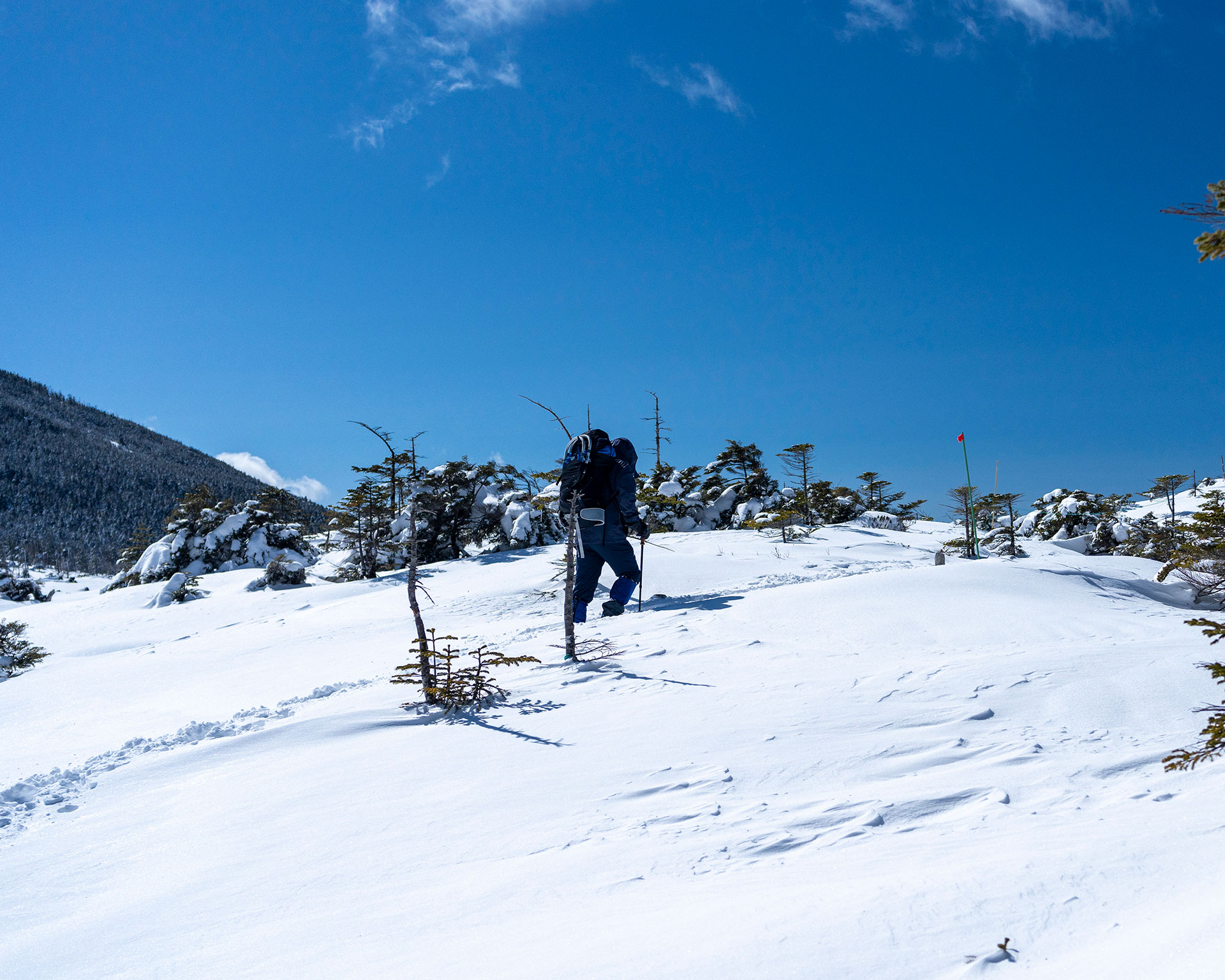 日本三大アルプスが見渡せる北横岳へ