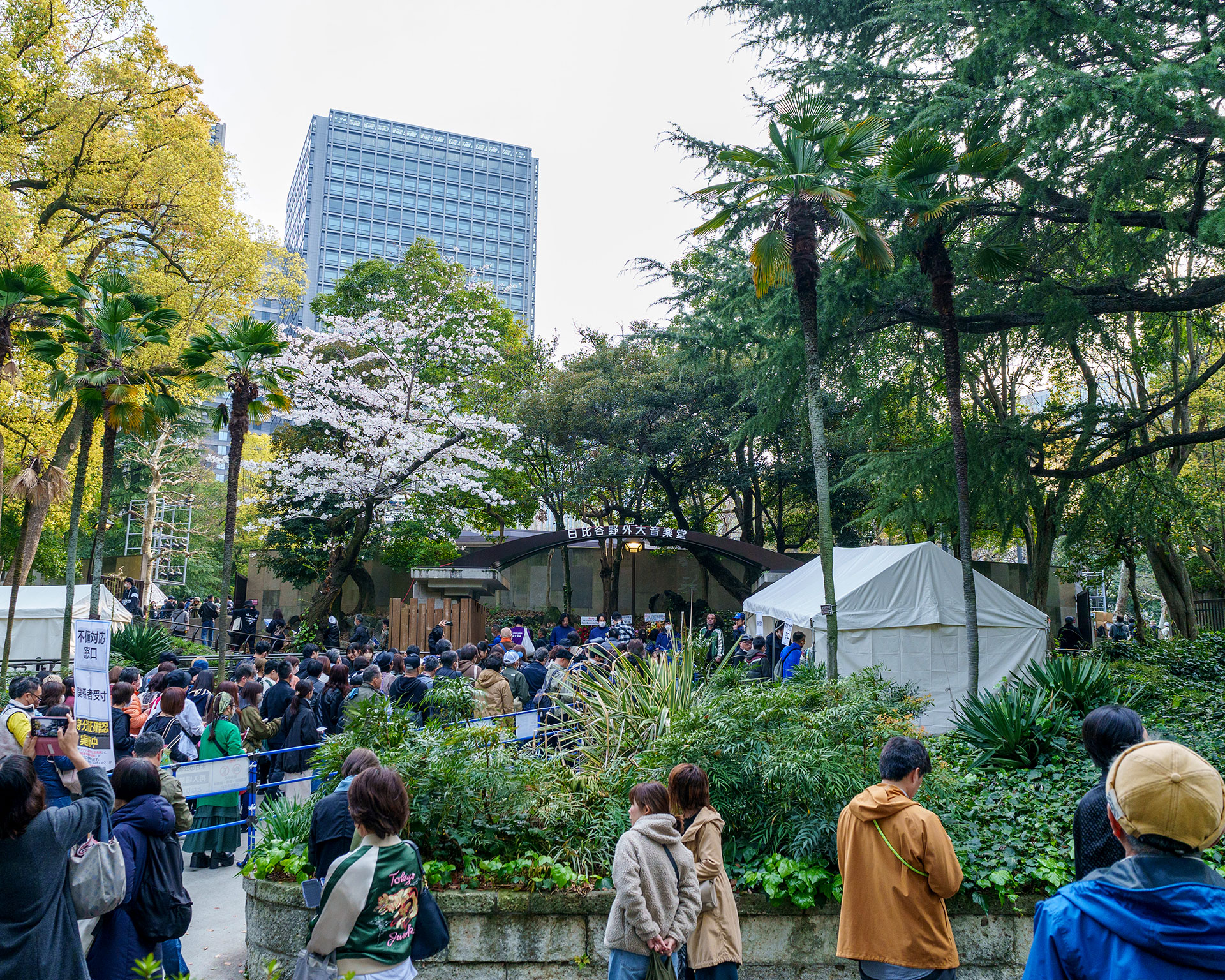 The Street Sliders 野音