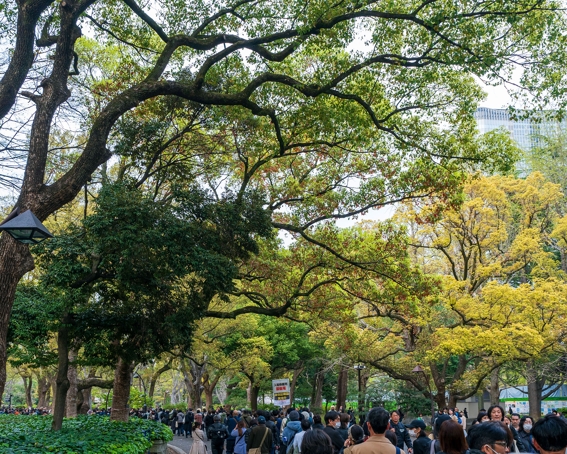 The Street Sliders 野音