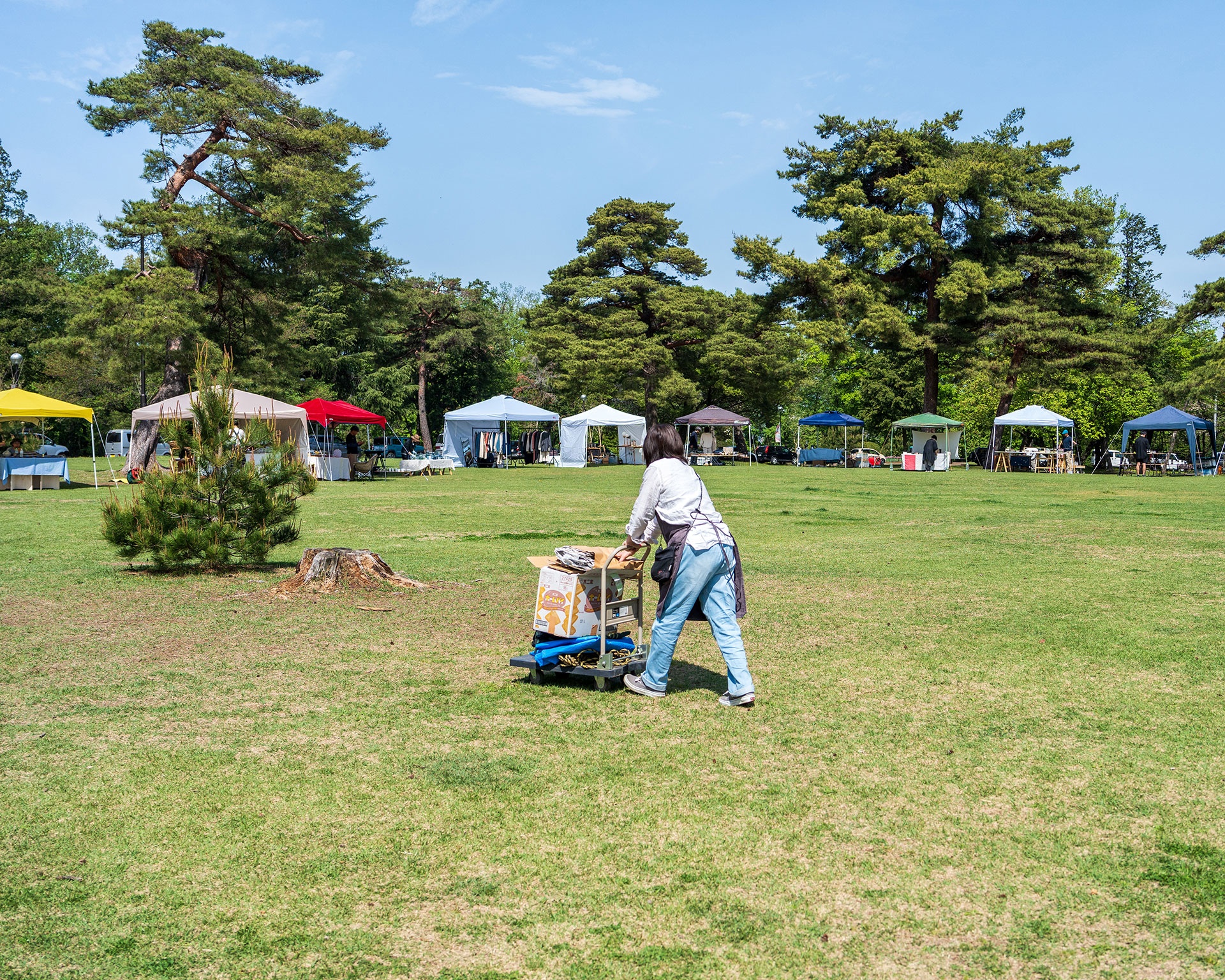みどりのクラフト2024