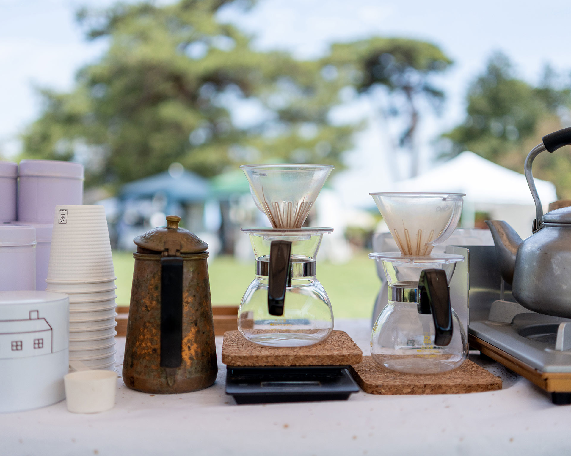 みどりのクラフト2024