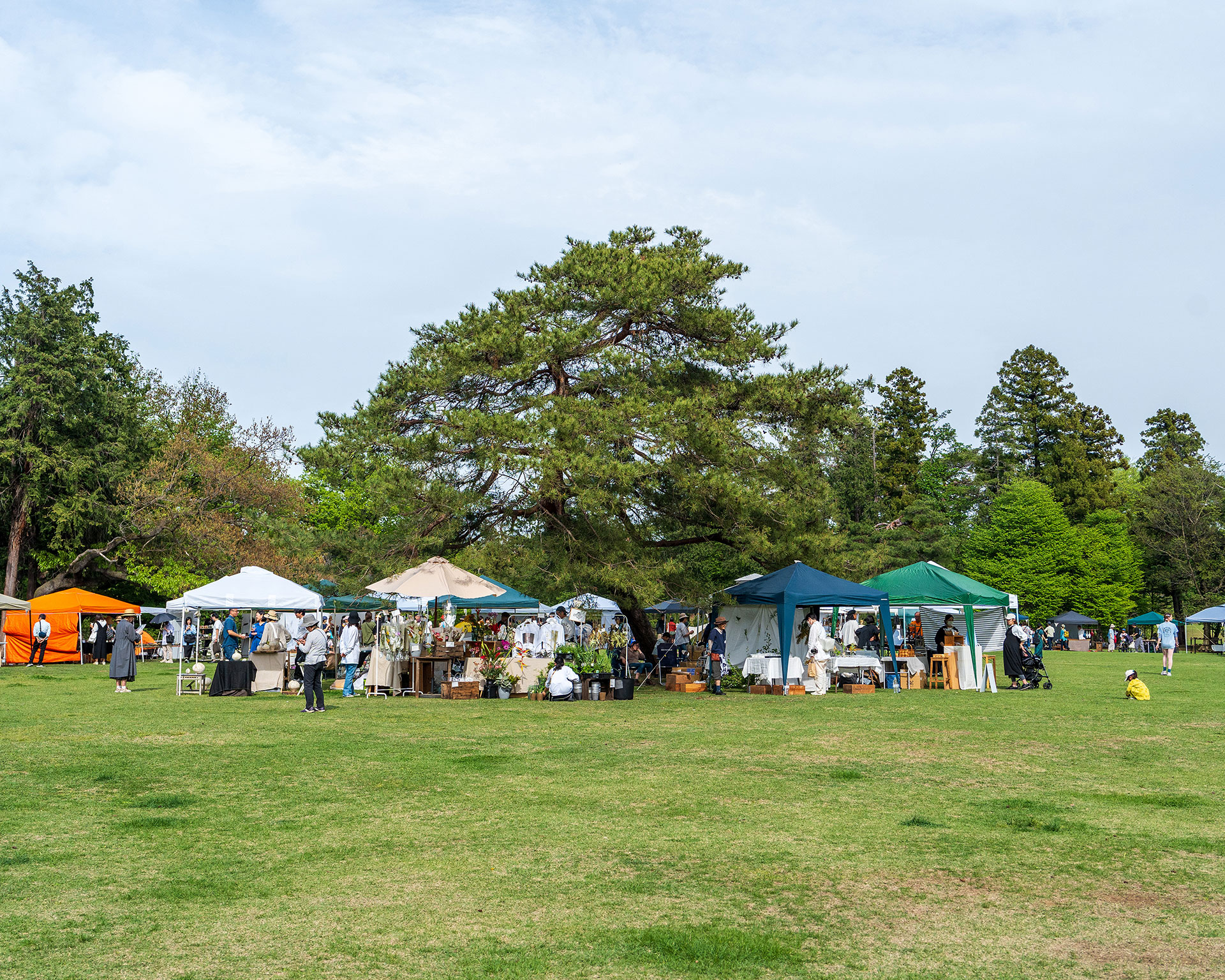 みどりのクラフト2024