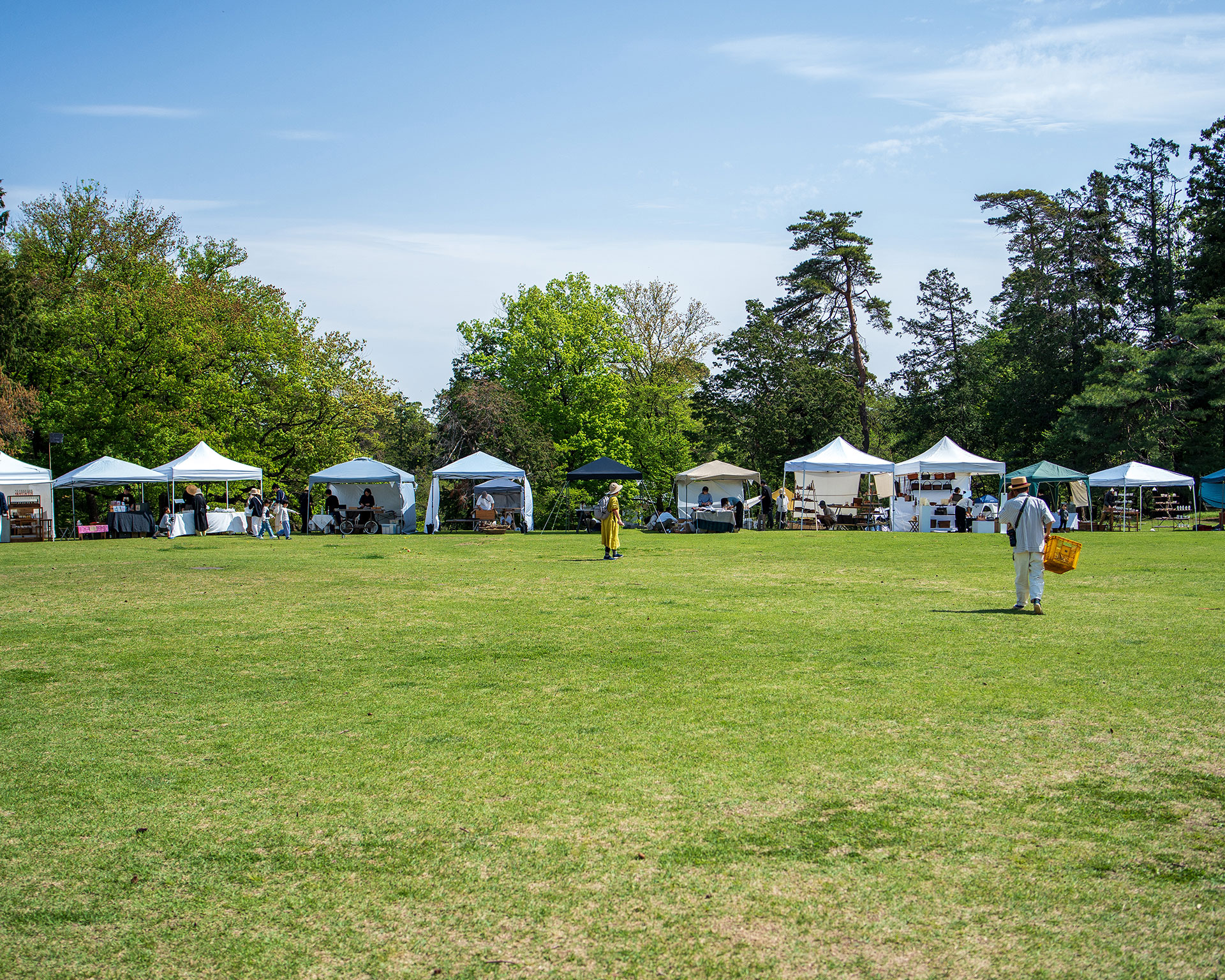 みどりのクラフト2024