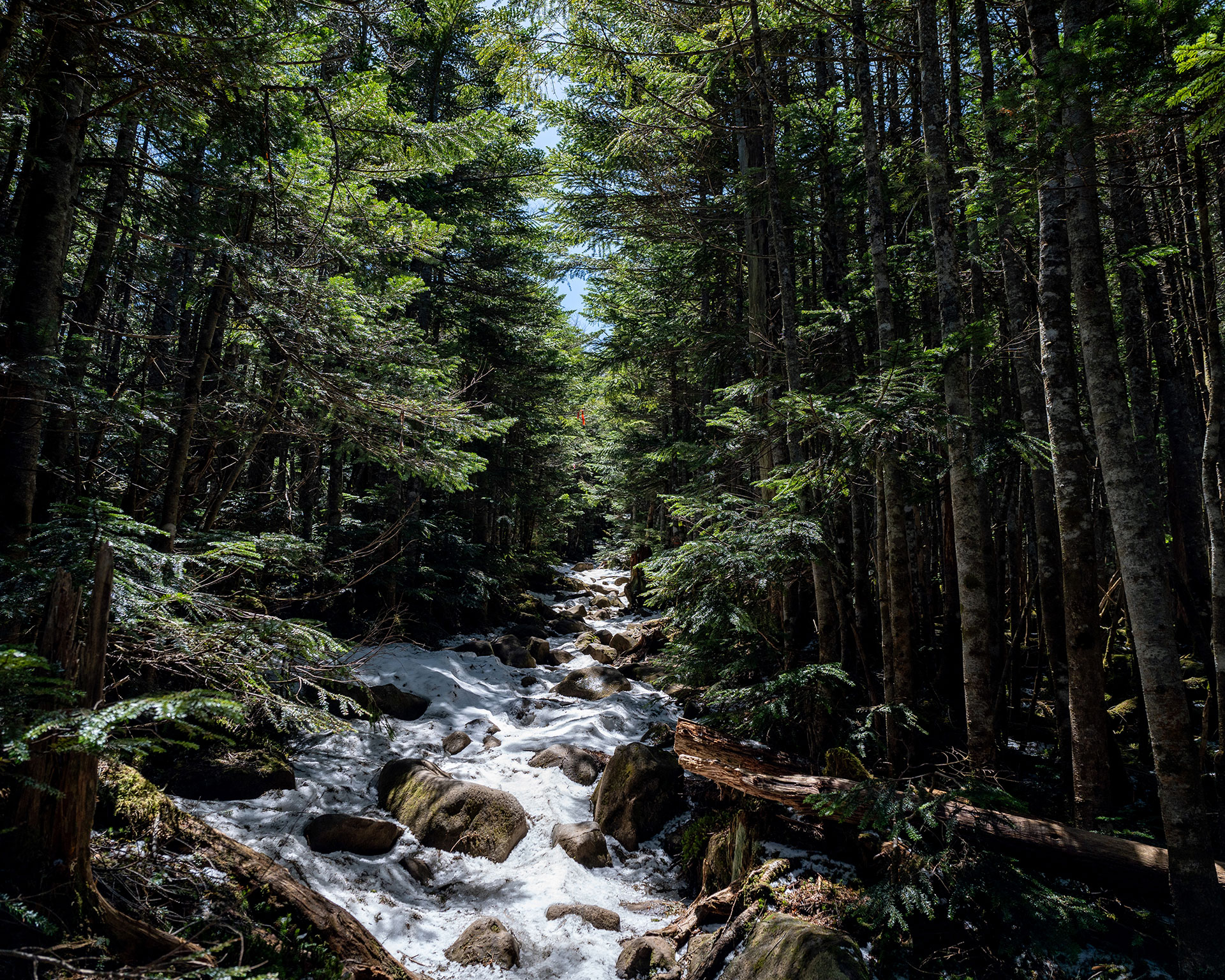 中山から高見石へ