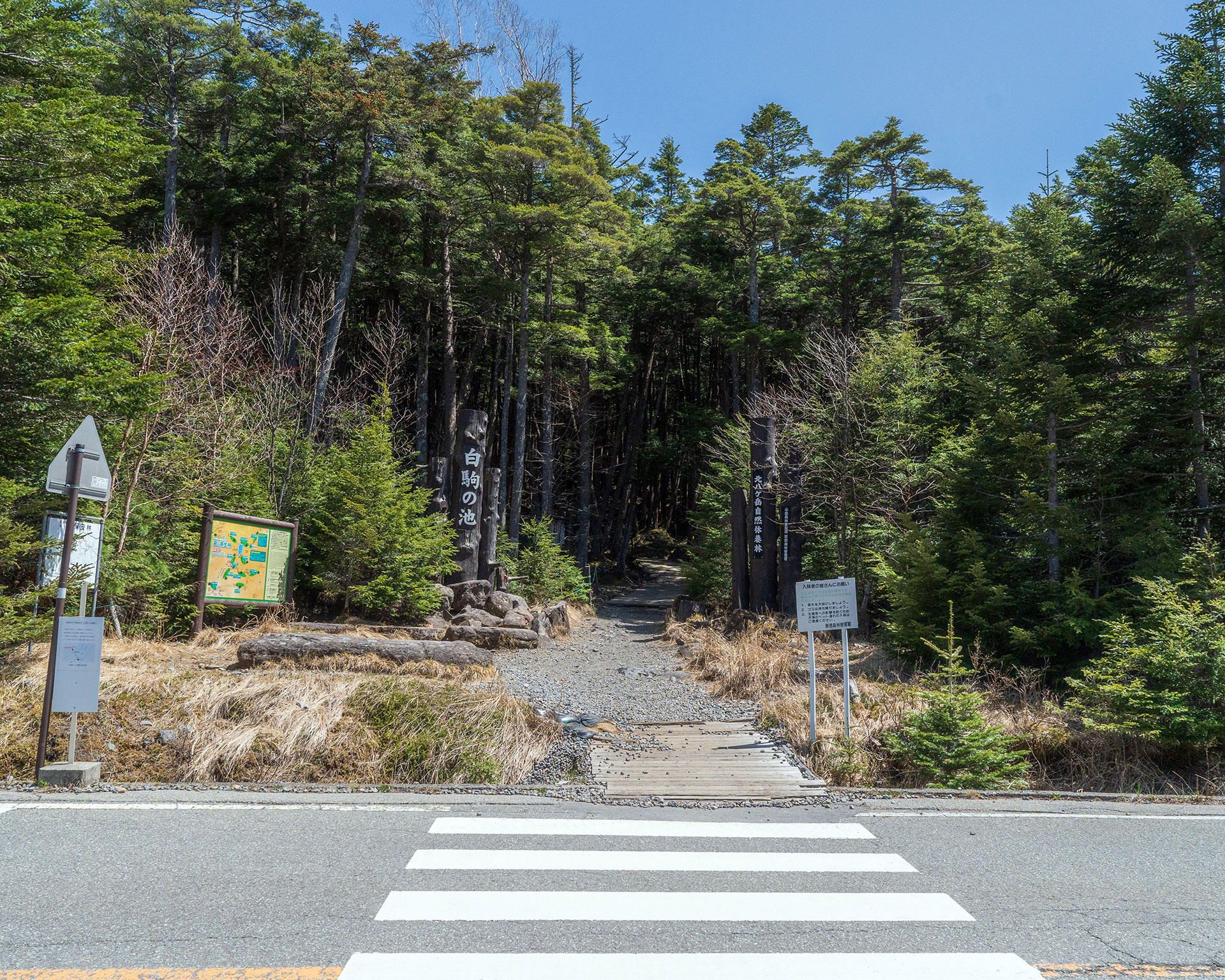 白駒の池駐車場