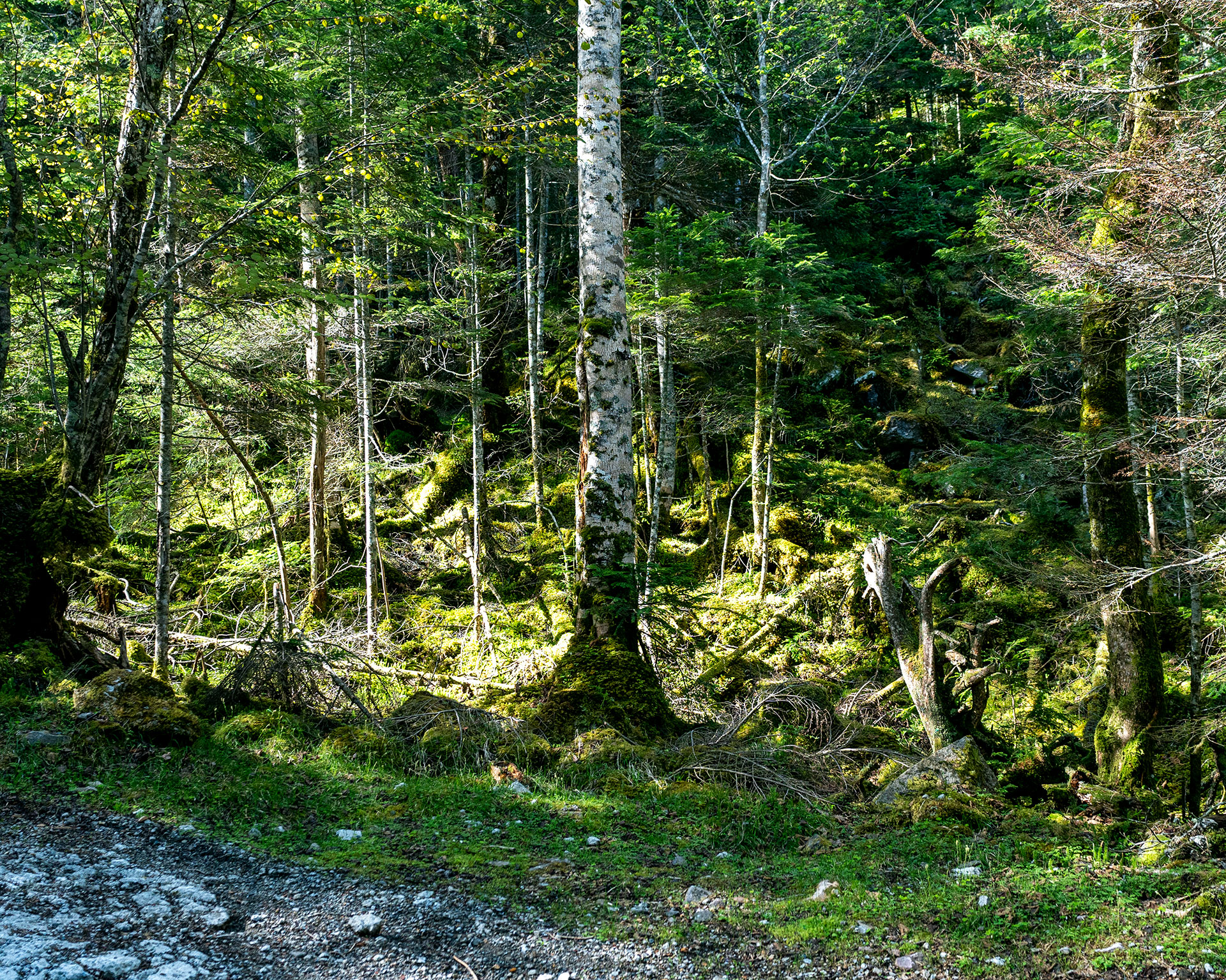 13年ぶりの硫黄岳