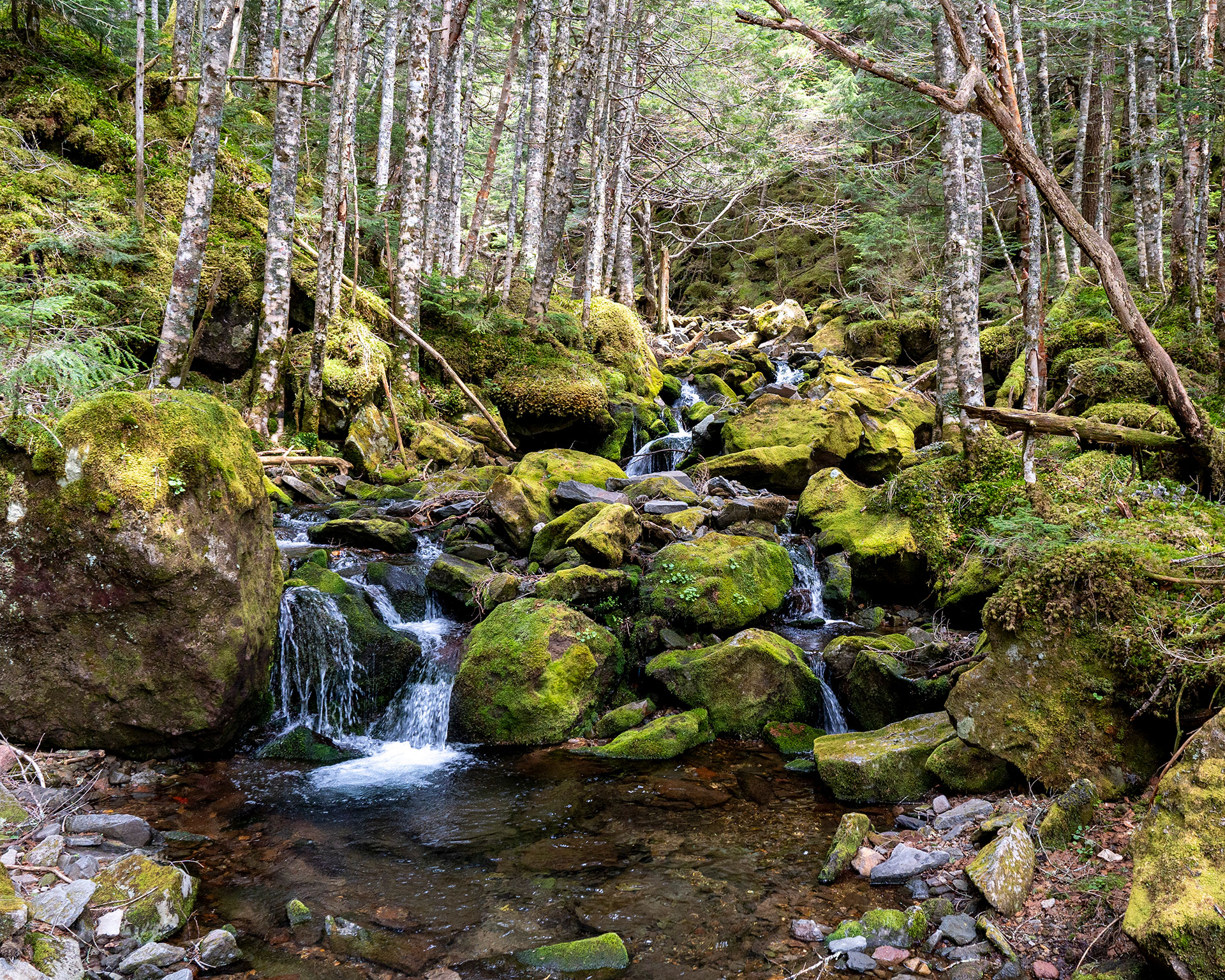 夏沢鉱泉あたり