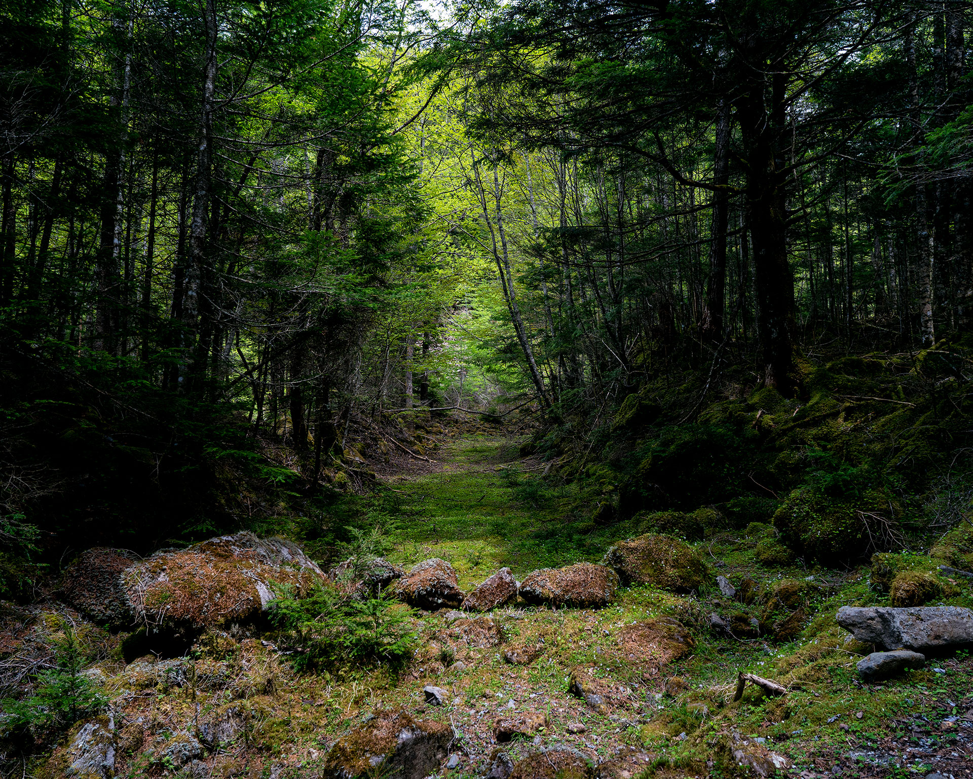 桜平駐車場あたり