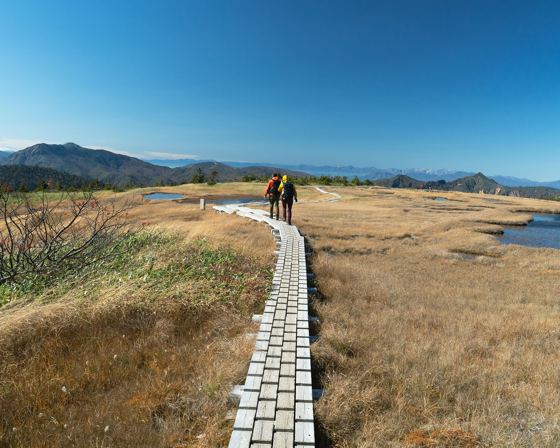山岳地帯の草原に設置された木製の遊歩道。赤と黄色のウェアを着た2人のハイカーが遠くの山々を眺める