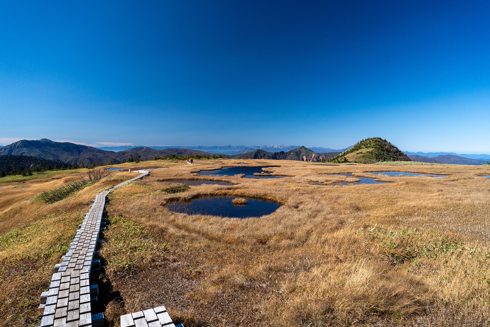 高原に点在する複数の池塘と、それらを結ぶ木道。遠方には連なる山々が広がり、晴天の空が印象的