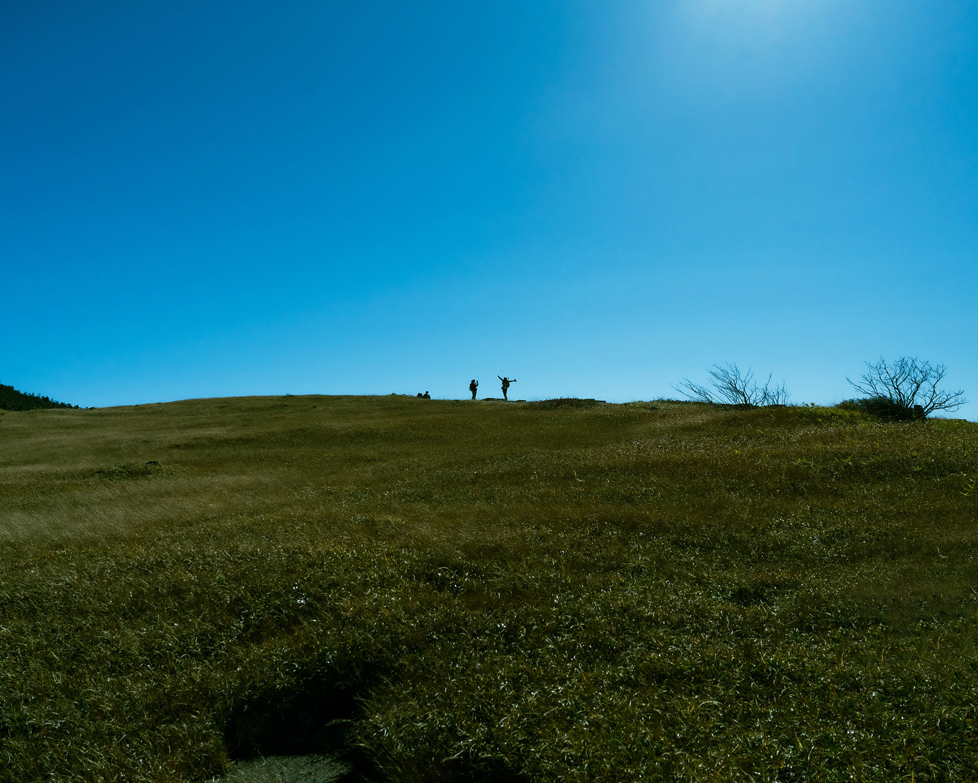 青空の下、緑の草原が広がる丘の頂上に立つ2人のシルエット。のどかな自然の風景を演出している様子