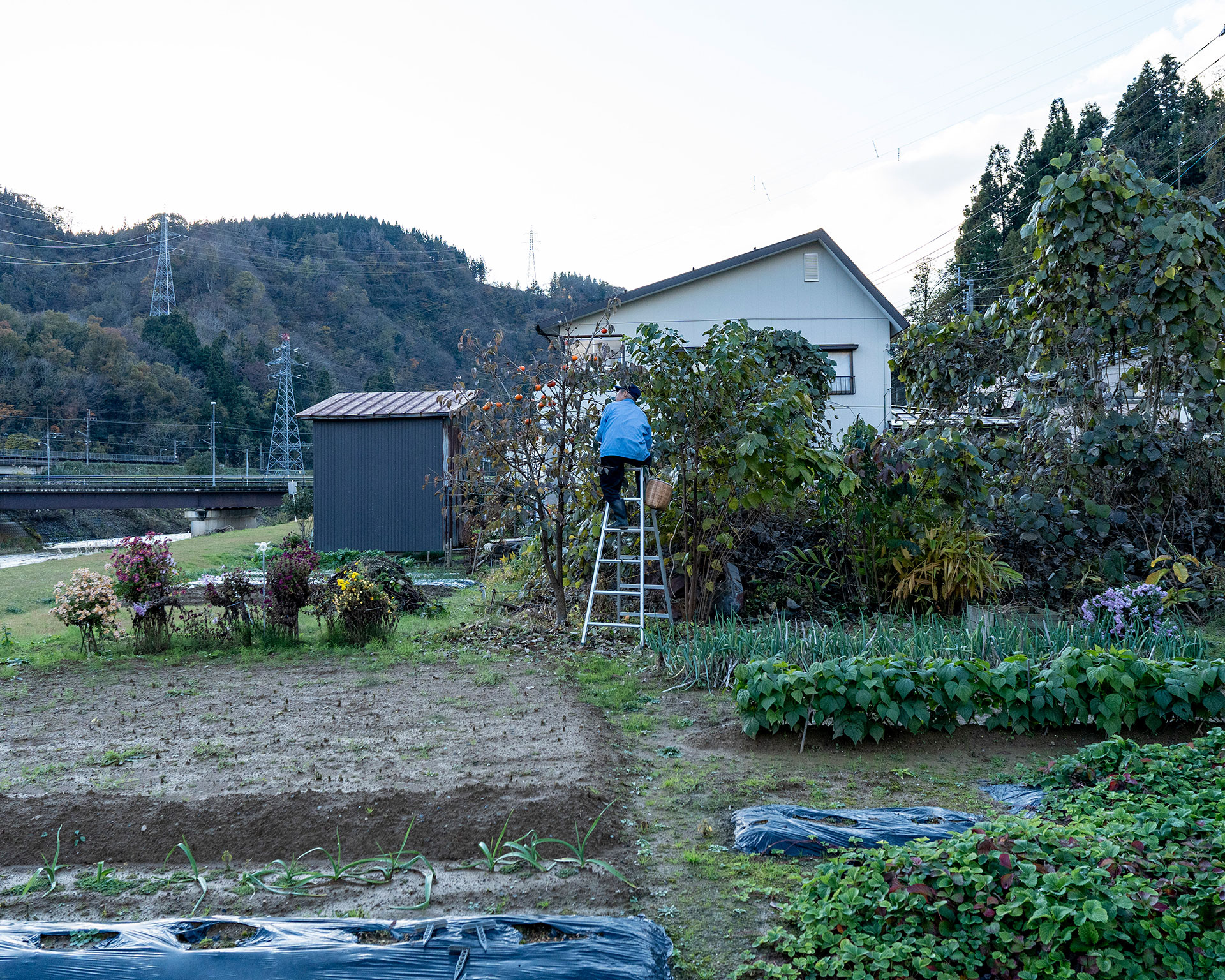 東頸城郡浦川原村虫川